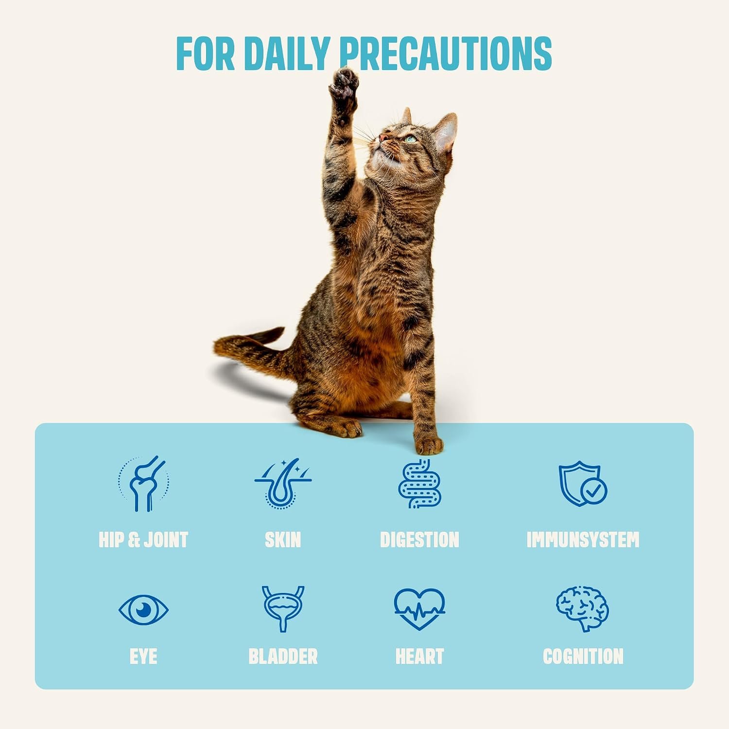 ivvi Multivitamin for Cats - Creamy Lickable Cat Supplement with Tuna, Vitamins, L-Lysine, Taurine & Salmon Oil - Daily Cat Wellness Support - 30 Pouches x 15 g - Image 3