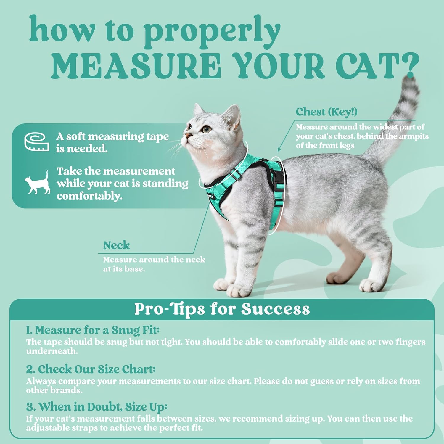 rabbitgoo Cat Harness and Leash Set, Escape Proof Vest, Emerald | Soft Breathable Mesh, Easy Adjustable Fit, Snap Buckles, Sturdy Clip, Reflective Strips, for Small & Average Cats Walks, Xs - Image 2
