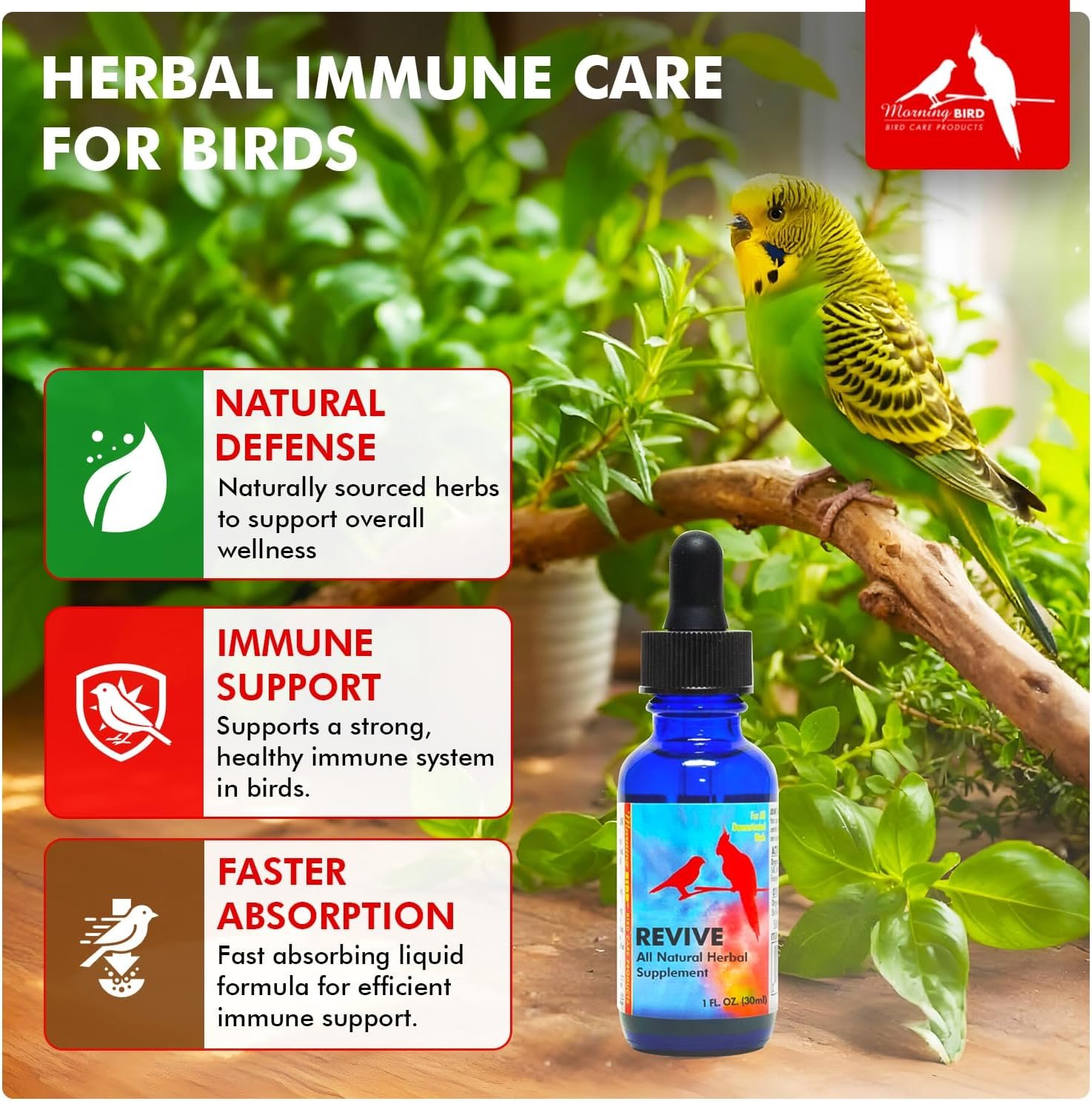 Morning Bird Revive 1 Fl Oz - Herbal Immune Support Extract for Birds | Supports Immune Response, Digestive Health, Energy & Overall Wellnes - Improved Liquid Formula for Faster Absorption - Image 5