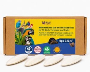 Birds LOVE 3.5-4″ Cuttlebone for ...