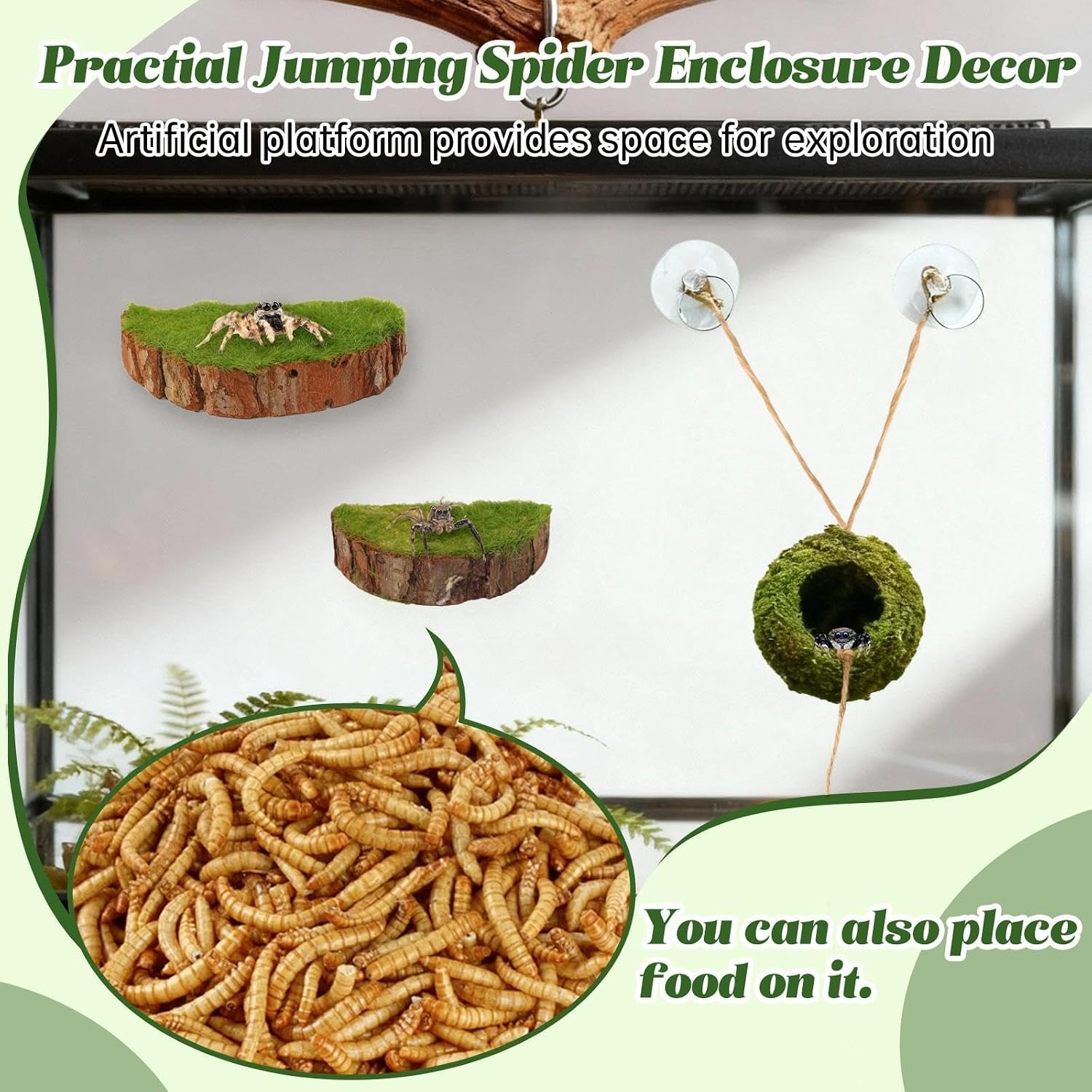 Jumping Spider Habitat Kit, Green Moss Hideout Cave and 3 Pcs Resting Feeding Platforms, Suction Cup Magnet Terrarium Decor for Jumping Spider Small Reptiles - Image 6