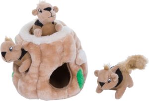Outward Hound Hide-A-Squirrel Dog T...
