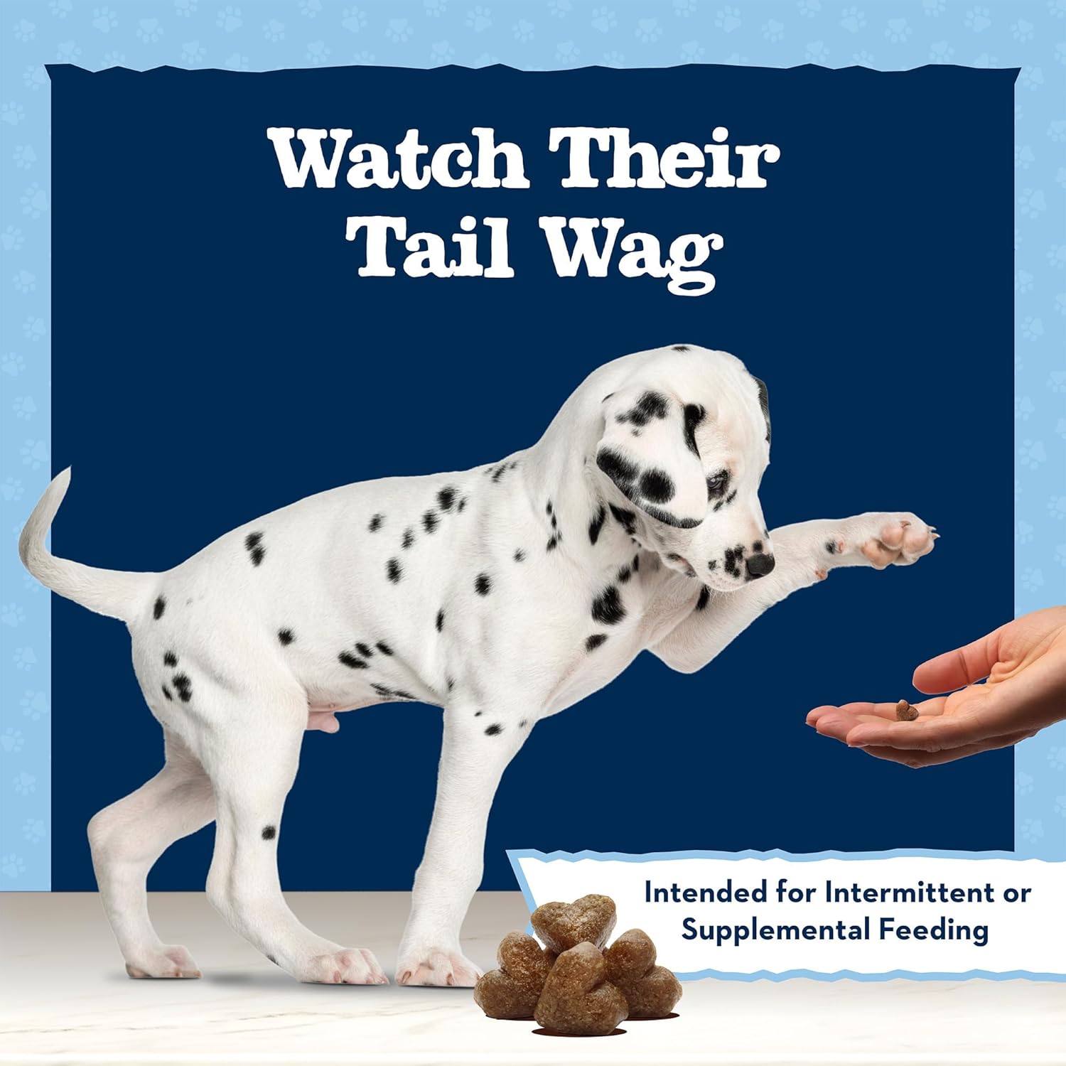 Blue Buffalo Baby Blue Training Treats Natural Puppy Soft Dog Treats, Savory Chicken 4-oz Bag - Image 8
