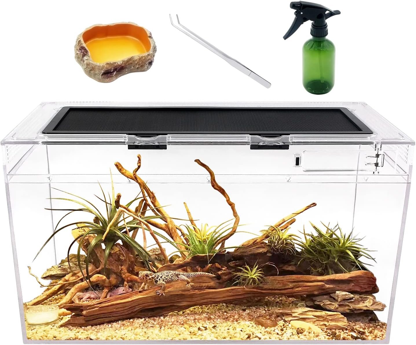 Reptile Growth Reptile Terrarium,10...