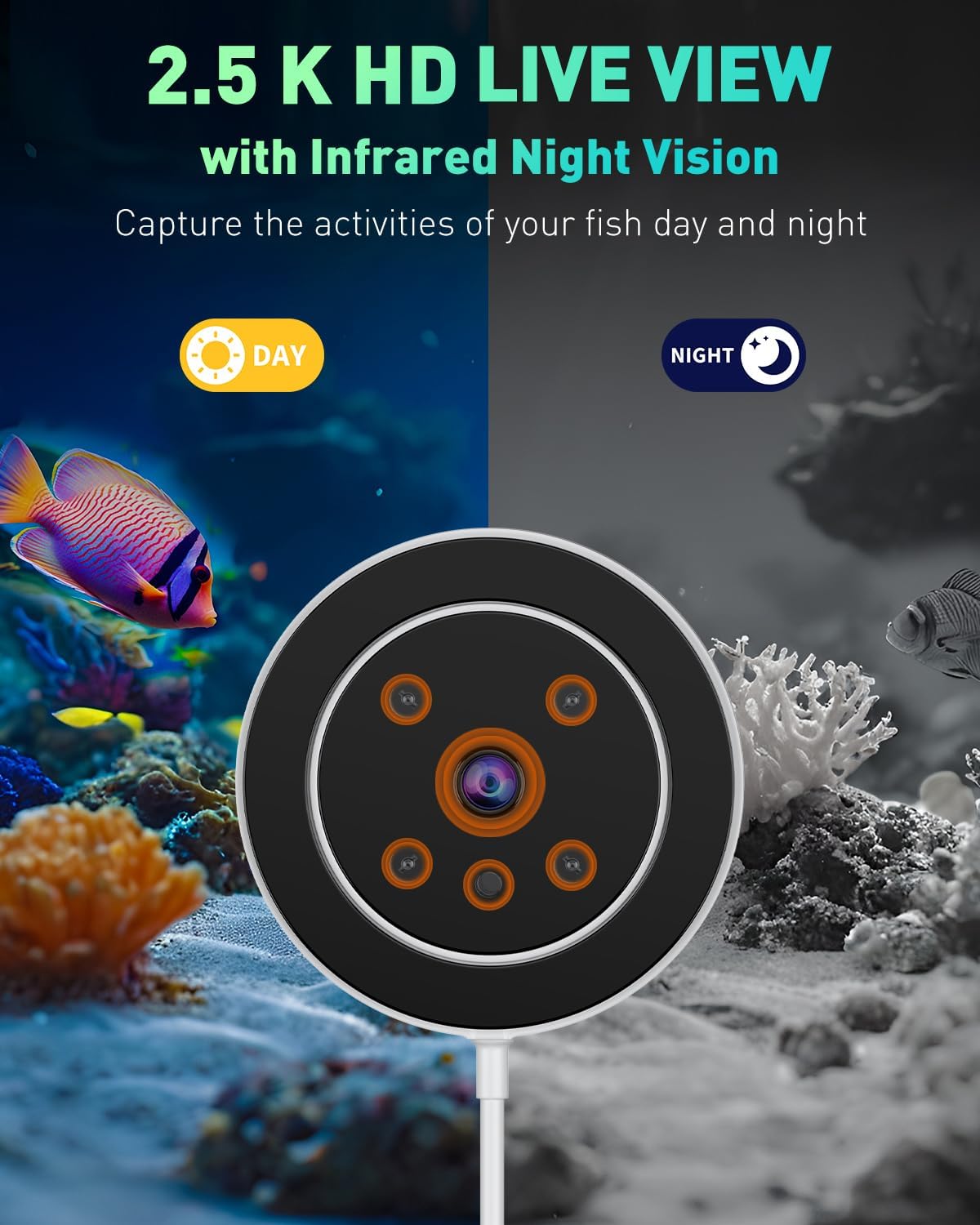 Pawfly WiFi Automatic Fish Feeder for Aquariums, Smart Auto Fish Food Dispenser with App Control 2.5 K HD Video & Timer, 230 mL Vacation Feeder for Powder Pellets & Small Pillars, USB Powered - Image 4