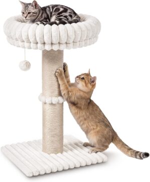 Avont 29″ Sisal Cat Scratchin...