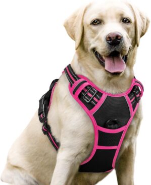 rabbitgoo Dog Harness No Pull with ...