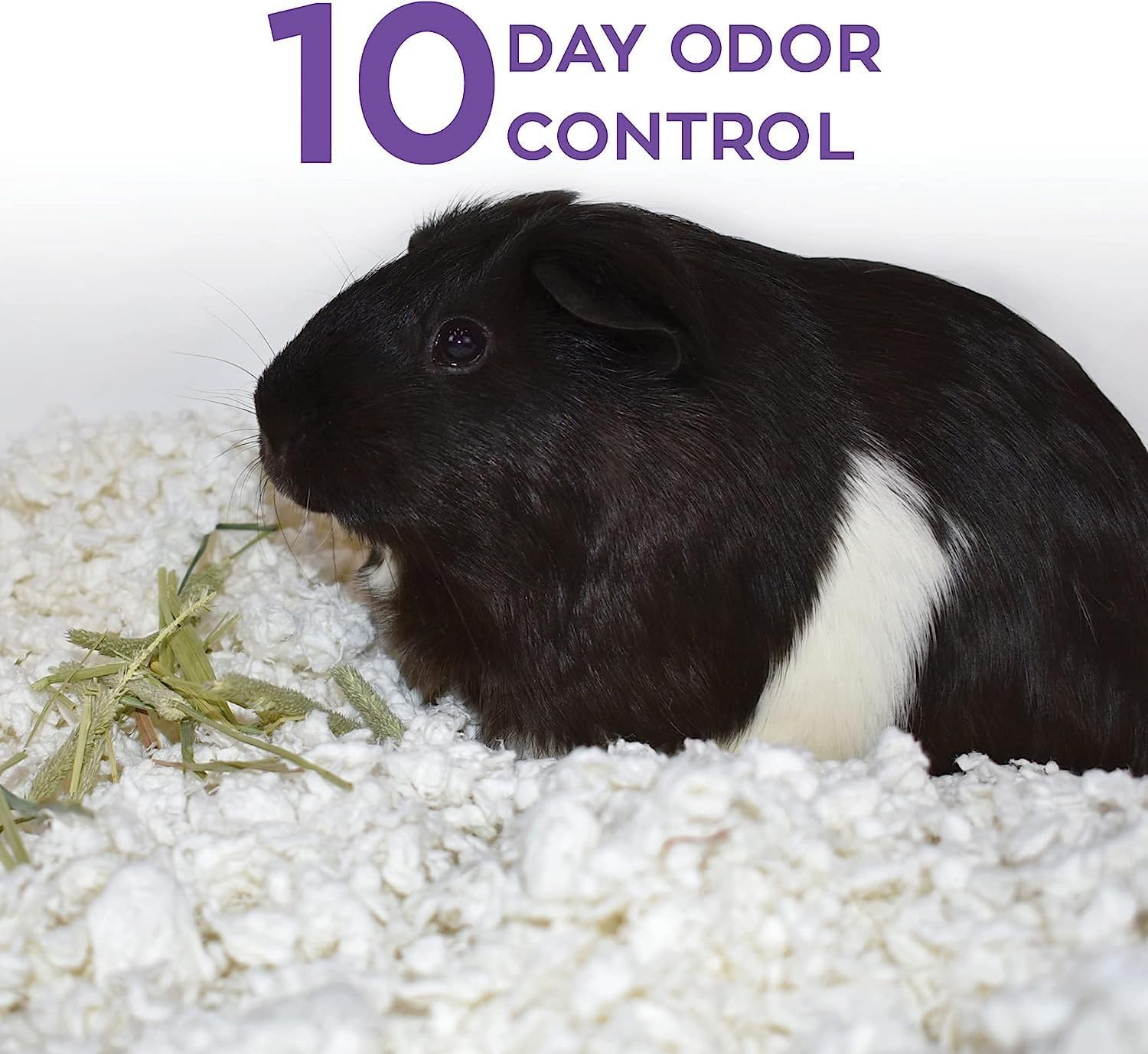 Carefresh White Natural Paper Small Pet Bedding, Odor Control 50L | 2X more absorbent, 99% dust free, odor control, Biodegradable and compostable, For hamsters, rabbits and guinea pigs - Image 5
