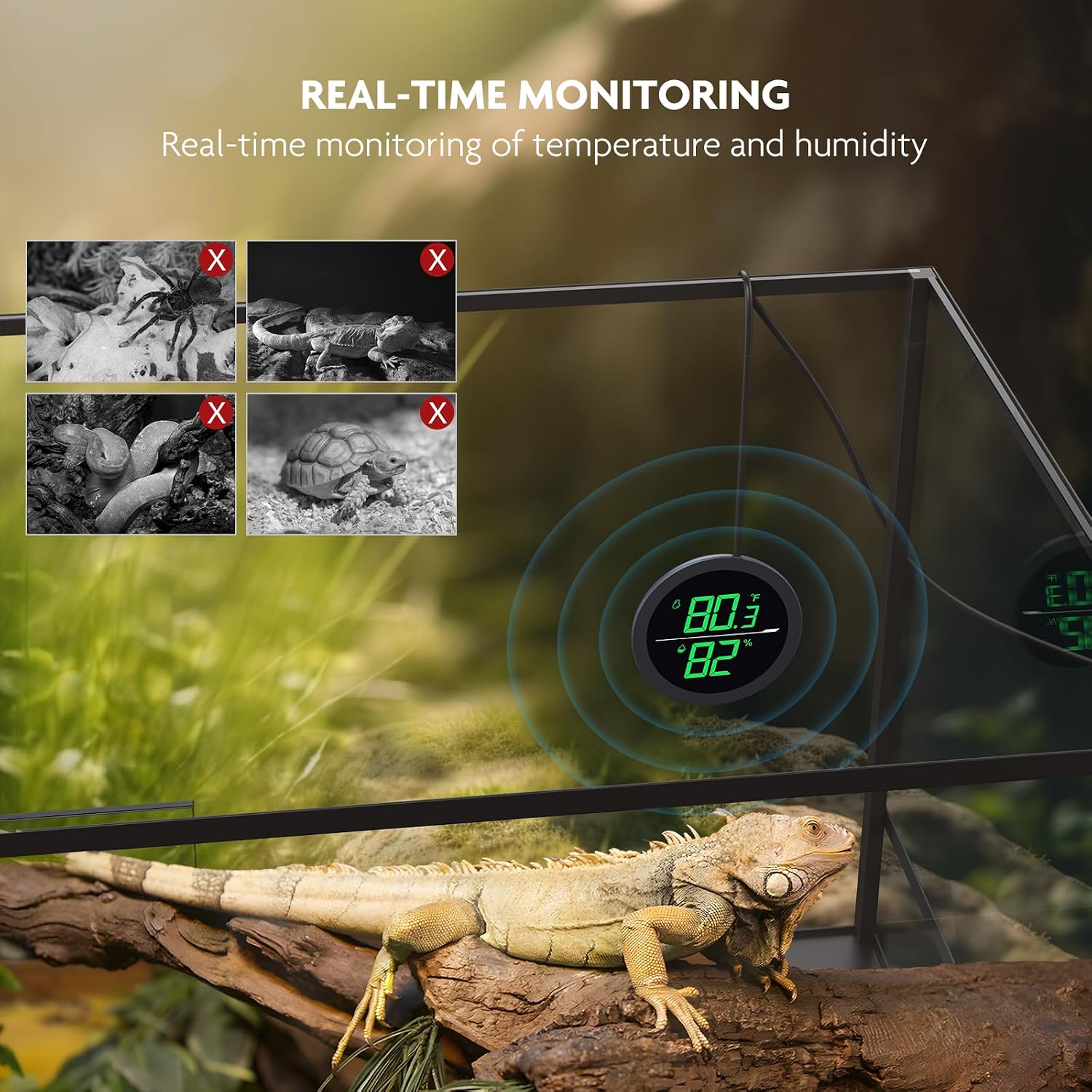 PAIZOO Real-time Display LED Digital Reptile Thermometer and Humidity Gauge | Always on Display, Button Control, Temperature Accuracy ±1 ℉ Thermometer for Reptile Tank with 55.2" Cable USB Power Supply - Image 4