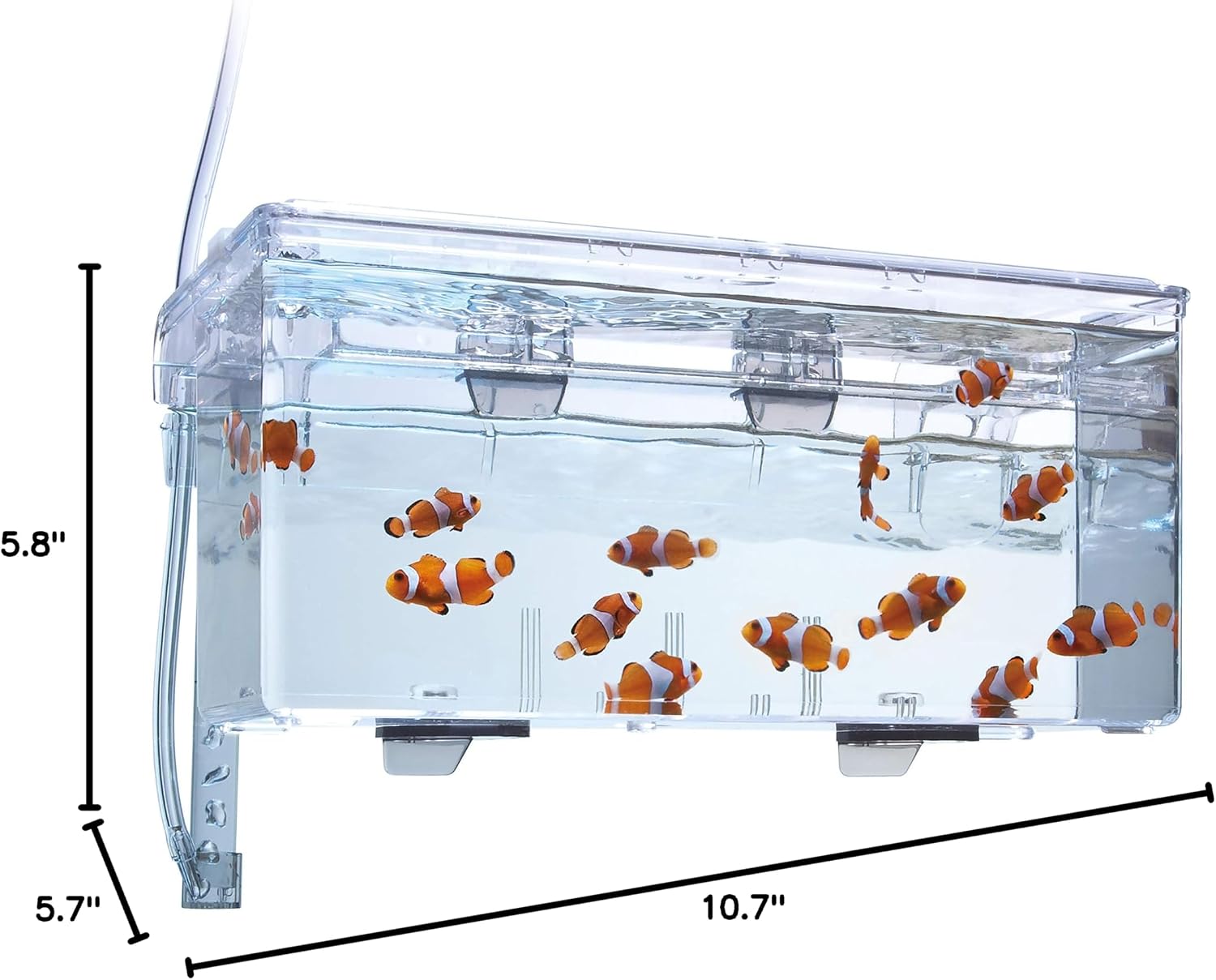 Fluval Multi-Chamber Holding and Breeding Box, Large – Up To 3 Separate Housing Compartments - Image 6