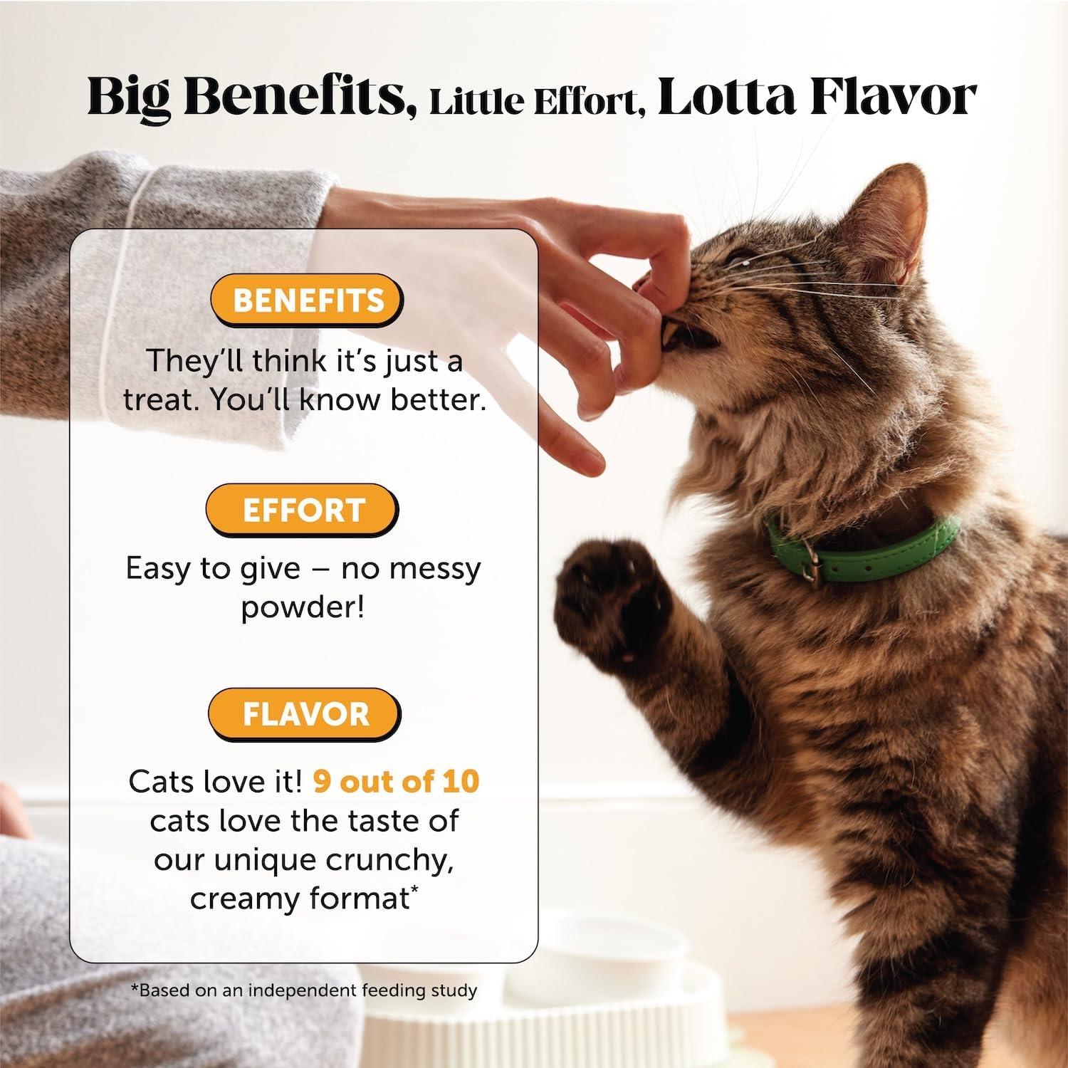 Cat Immune Support Lysine – Allergy Relief & Immune Health Supplement for Cats with L-Lysine, Colostrum, Quercetin & Omega-3 – Soothes Sneezing, Runny Nose & Itchy Skin Chicken, (30-Day Supply) - Image 4
