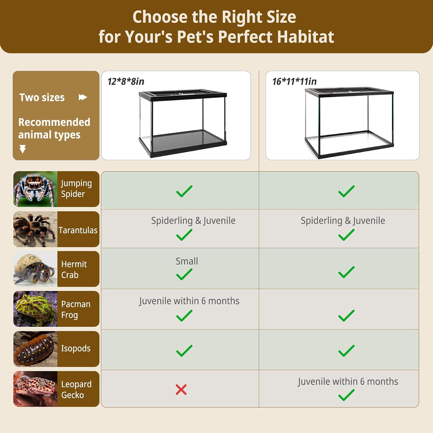 Reptile Glass Tank Starter Kit 16"x11"x11" Full View Reptile Terrarium for Leopard Gecko,Tarantula,Lizards,Spiders, Hermit Crabs,Frogs,Snake and Fish with Tank Accessories and Top Openning Door - Image 5