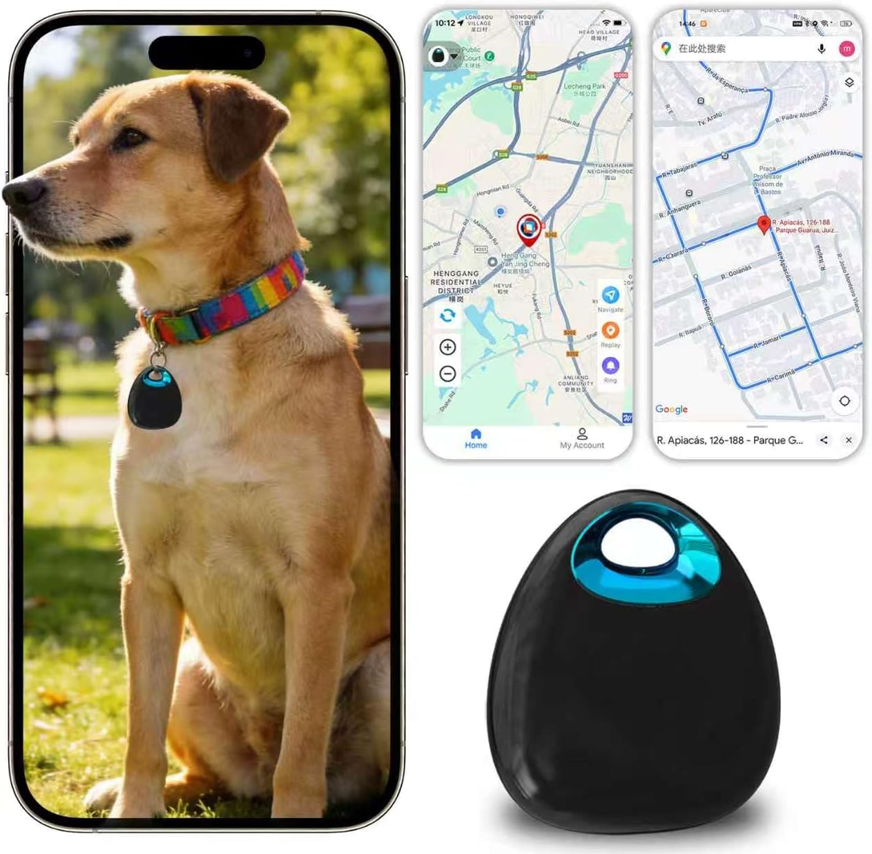 GPS Tracker for Dogs & Cats – Waterproof, Lightweight, Mini Real-Time Pet Locator with 1-Year Battery, No Subscription or SIM Required, Track History, iOS & Android Compatible Now 2026