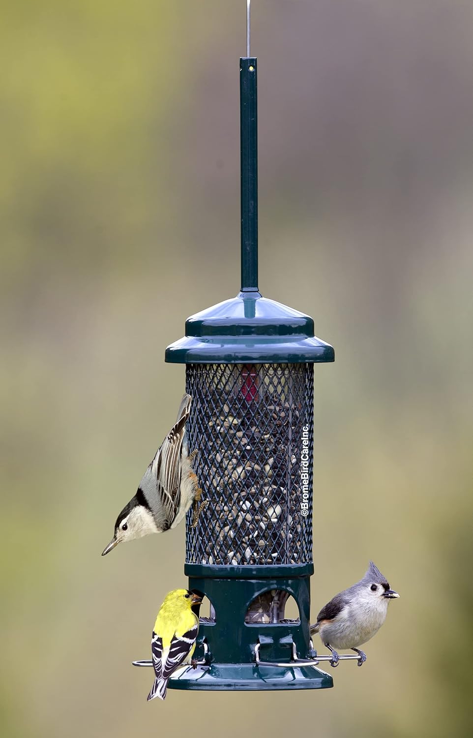 Squirrel Buster Standard Squirrel-proof Bird Feeder w/4 Metal Perches, 1.3-pound Seed Capacity, garden green | 1.3 Lb Capacity, 4 Metal Perches, Weight-Adjustable Closing, Chew-Proof, Uv-Resistant, Easy-Clean Design - Image 6