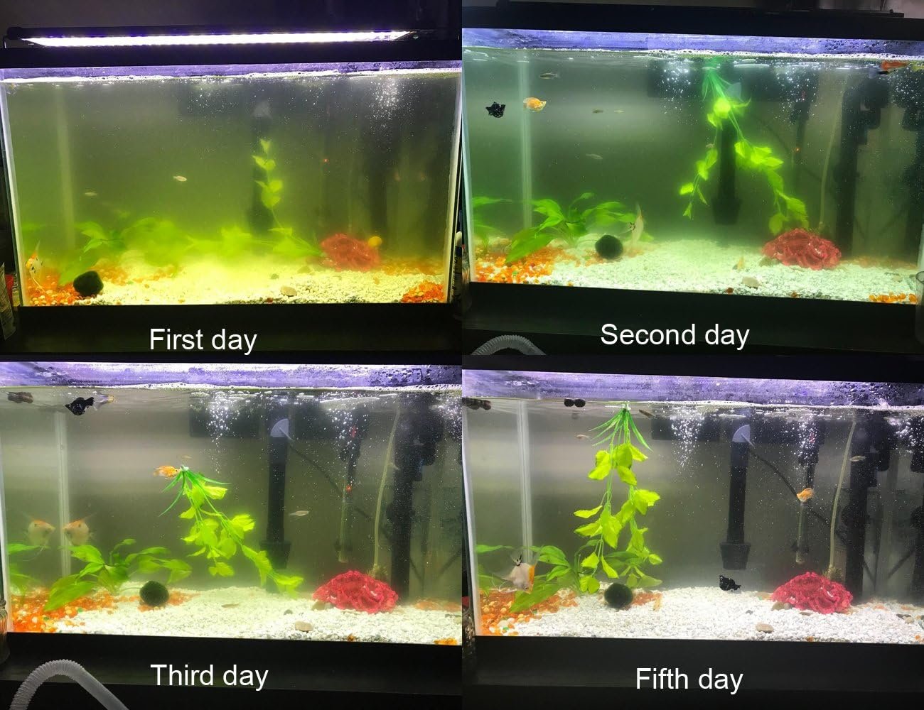 Internal Green Water Killer Aquarium Filter Tank U-V Pump - Image 2