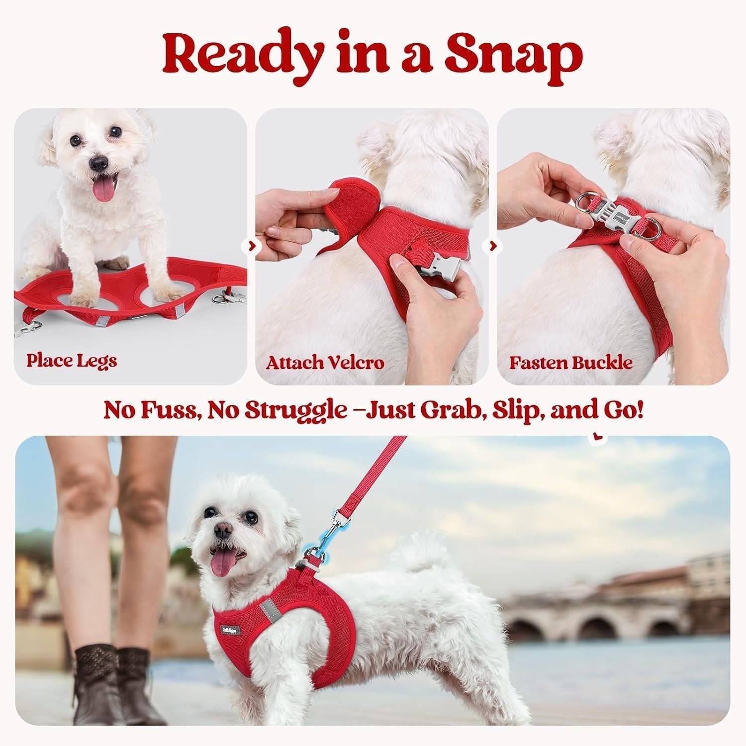 rabbitgoo Dog Harness Small Sized and Leash Set, Step-in Puppy Pet Vest | Light, Soft, Breathable Air Mesh, Easy on and Remove with Hook & Loop, Secure Reflective for Walking, Red S - Image 8
