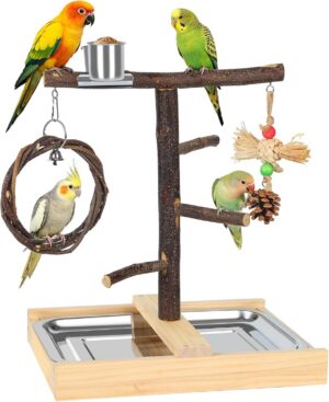 Bird Playground,Natural Wooden Parr...