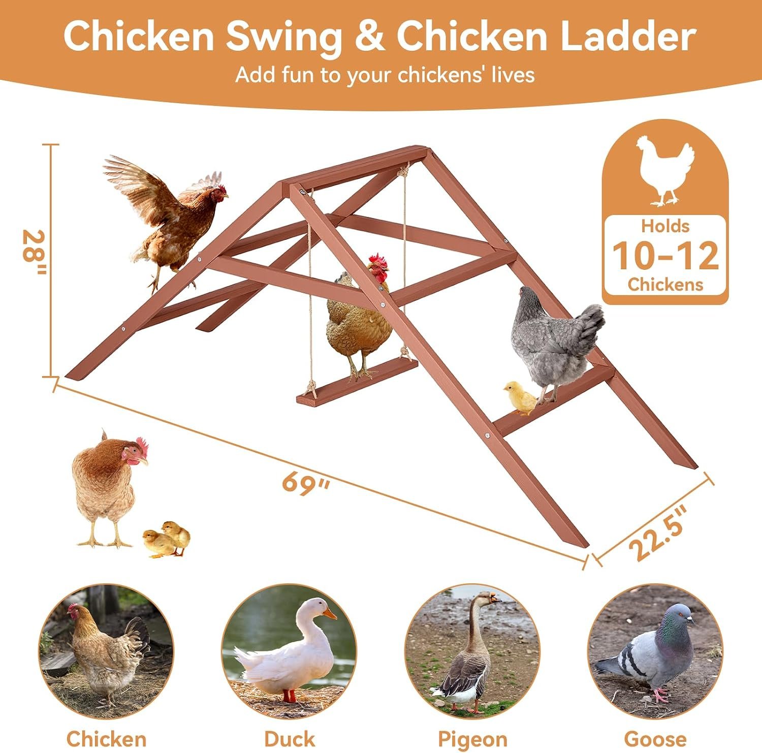 PETSFIT Wooden Chicken Roosting Bars for 10-12 Chickens, Easy Assembly | Solid Fir Wood,Chicken Perch for Outdoor Coops,Backyard Farms ,3-Layers Design with Swing,Promotes Healthy,Easy to Clean - Image 5