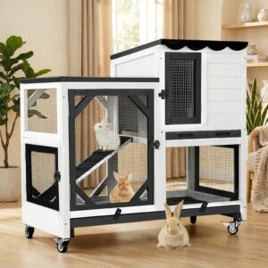 Aivituvin 2-Story Large 39.3″...