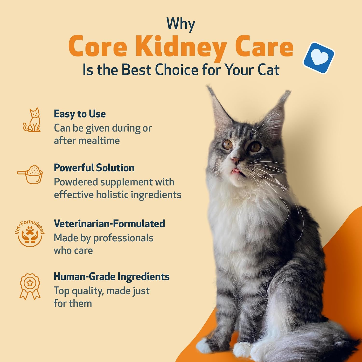 Pet Wellbeing Core Kidney Care for Cats - Daily Phosphate Binder, Supports Healthy Kidney Function with FOS, Chitosan, Probiotics - Veterinarian-Formulated 5.08 oz (144 g) Powder - Image 6
