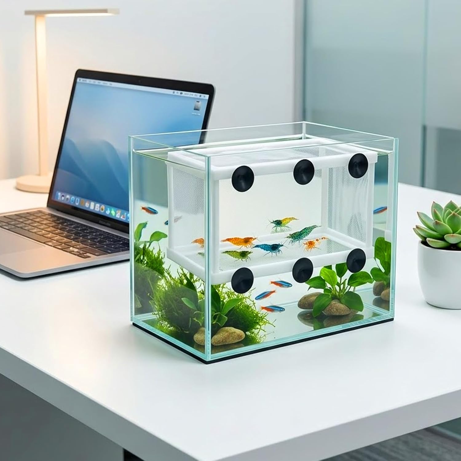 Anxingo 2 Pack Fish Tank Breeder Net,Fish Isolation Breeding Hatching Box, Plastic Frame Hatching Box Separation Net Breeding Box with Suction Cup for Aquarium - Image 7
