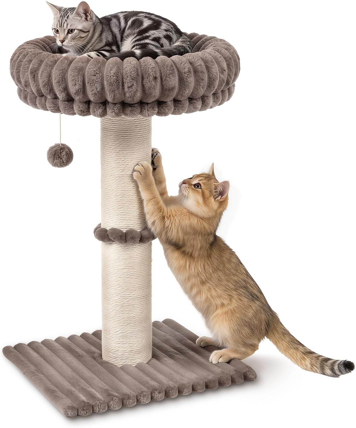 Avont 29” Sisal Cat Scratching Post, Cat Scratcher with Large Plush Perch | Scratching Post with Plush Elevated Bed for Indoor Cats, Removable& Washable Cover, Taupe