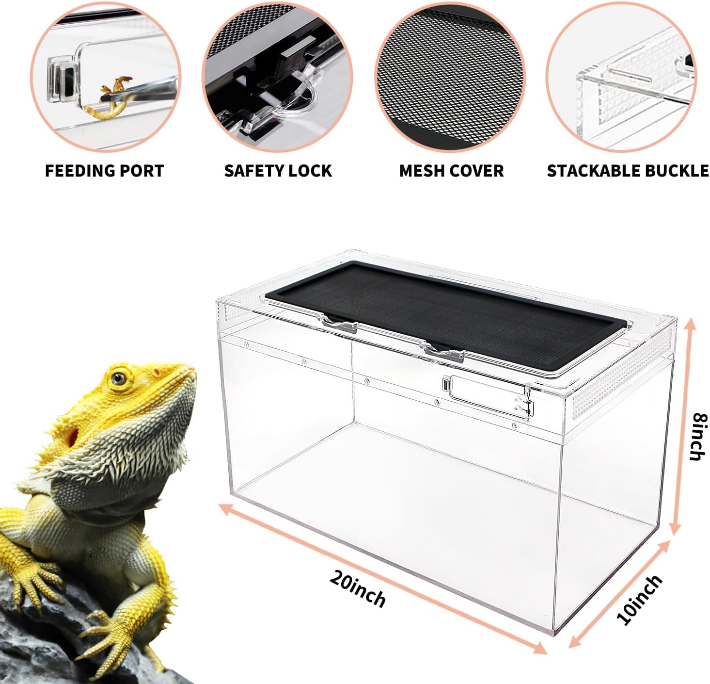 Reptile PC Terrarium Set, Reptile Tank 20" x 10"x 8",for Insect,Fish,Tarantula,Hermit Crab,Jumping Spider,Iguana,Tortoise,Leopard Gecko,Bearded Dragon - Image 3