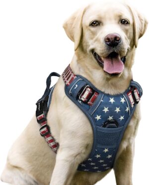 rabbitgoo Dog Harness, No Pull for ...