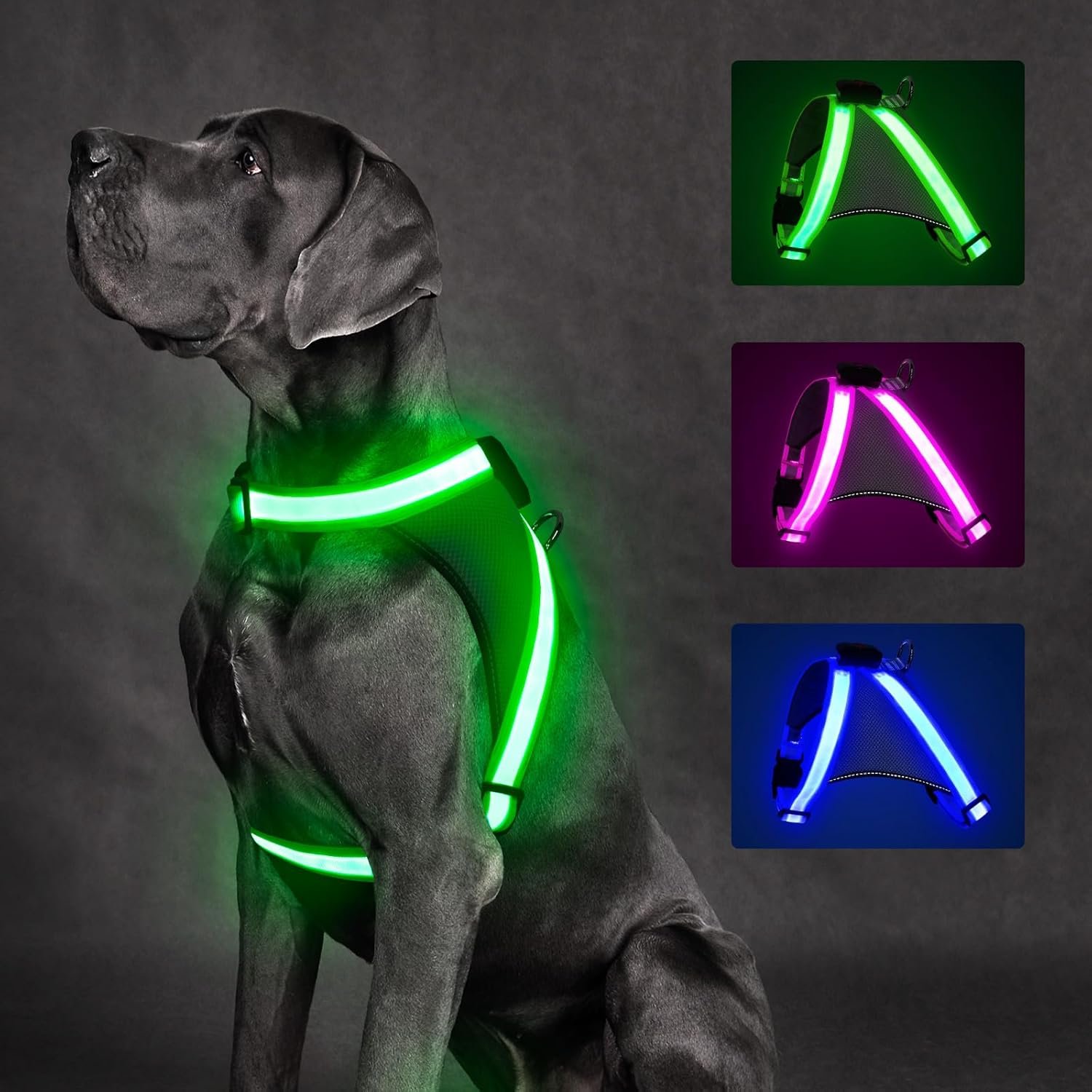 ChalkLit Light Up Dog Harness, No P...