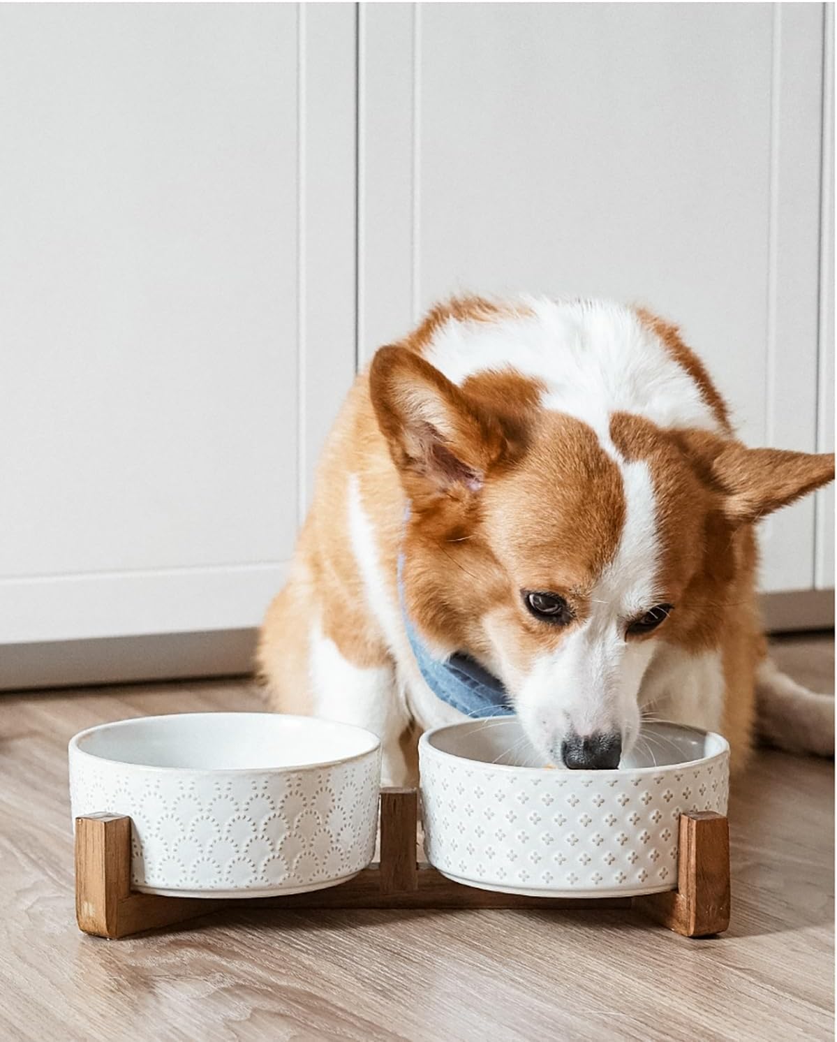 LE TAUCI Dog Bowl Set with Acacia Wood Stand - 1.5-Cup Ceramic Puppy Bowls for Small Dogs, Dual Food and Water Bowls with Weighted Non-Slip Base - Image 9