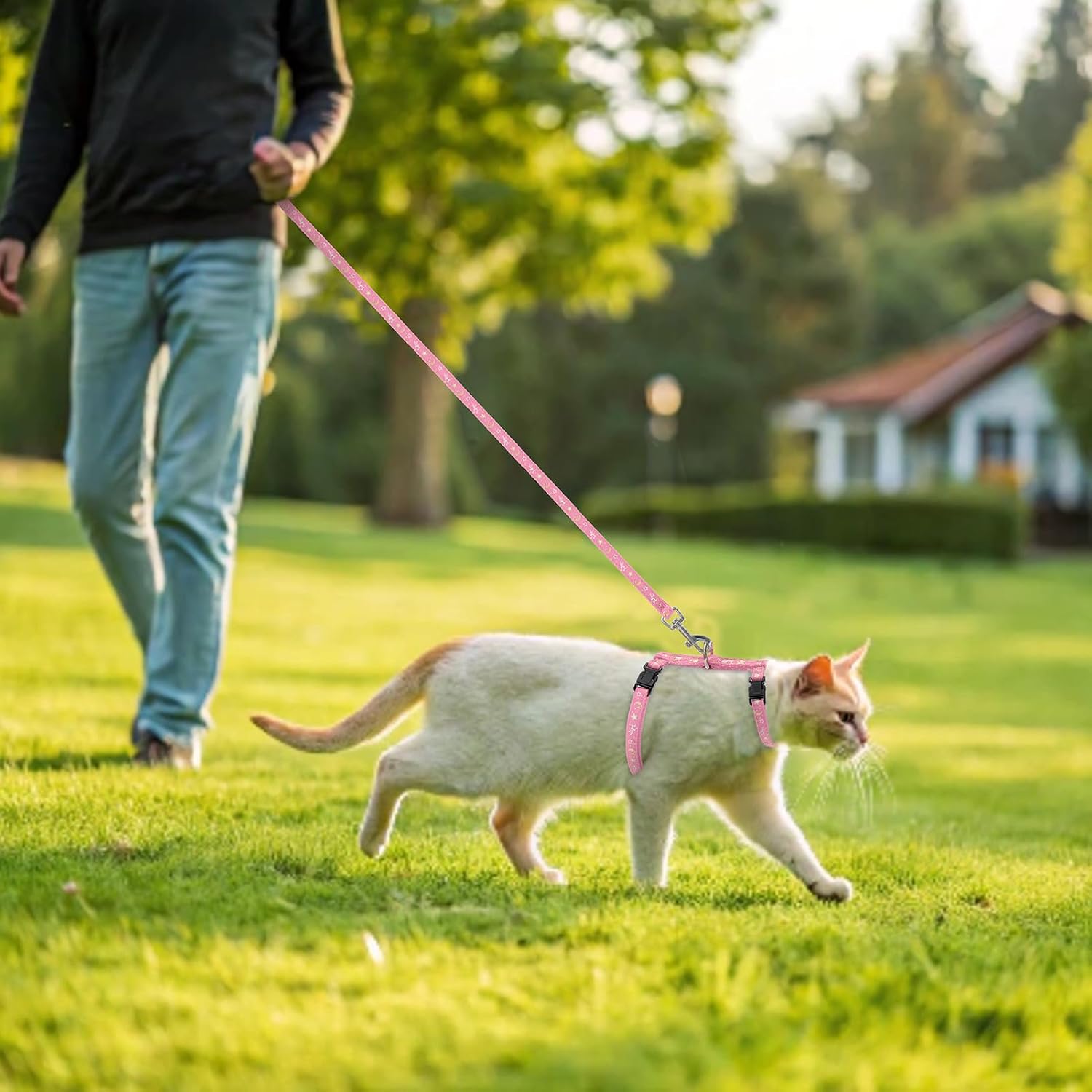 PAWCHIE Cat Harness with Leash and Collar Set - Escape Proof Adjustable H-shped Cat Harness with Star and Moon Pattern Glow in The Dark for Kitty Outdoor Walking - Image 8