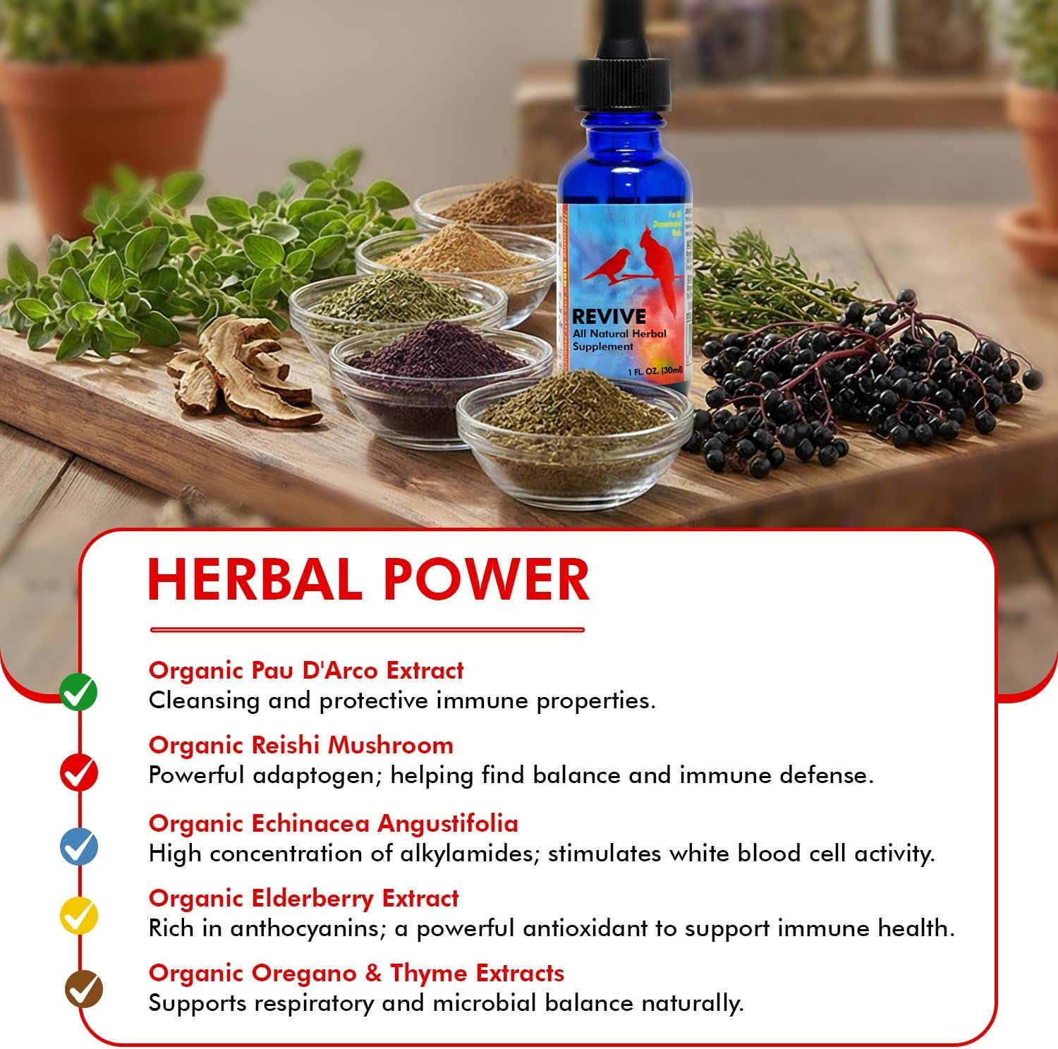Morning Bird Revive 1 Fl Oz - Herbal Immune Support Extract for Birds | Supports Immune Response, Digestive Health, Energy & Overall Wellnes - Improved Liquid Formula for Faster Absorption - Image 7