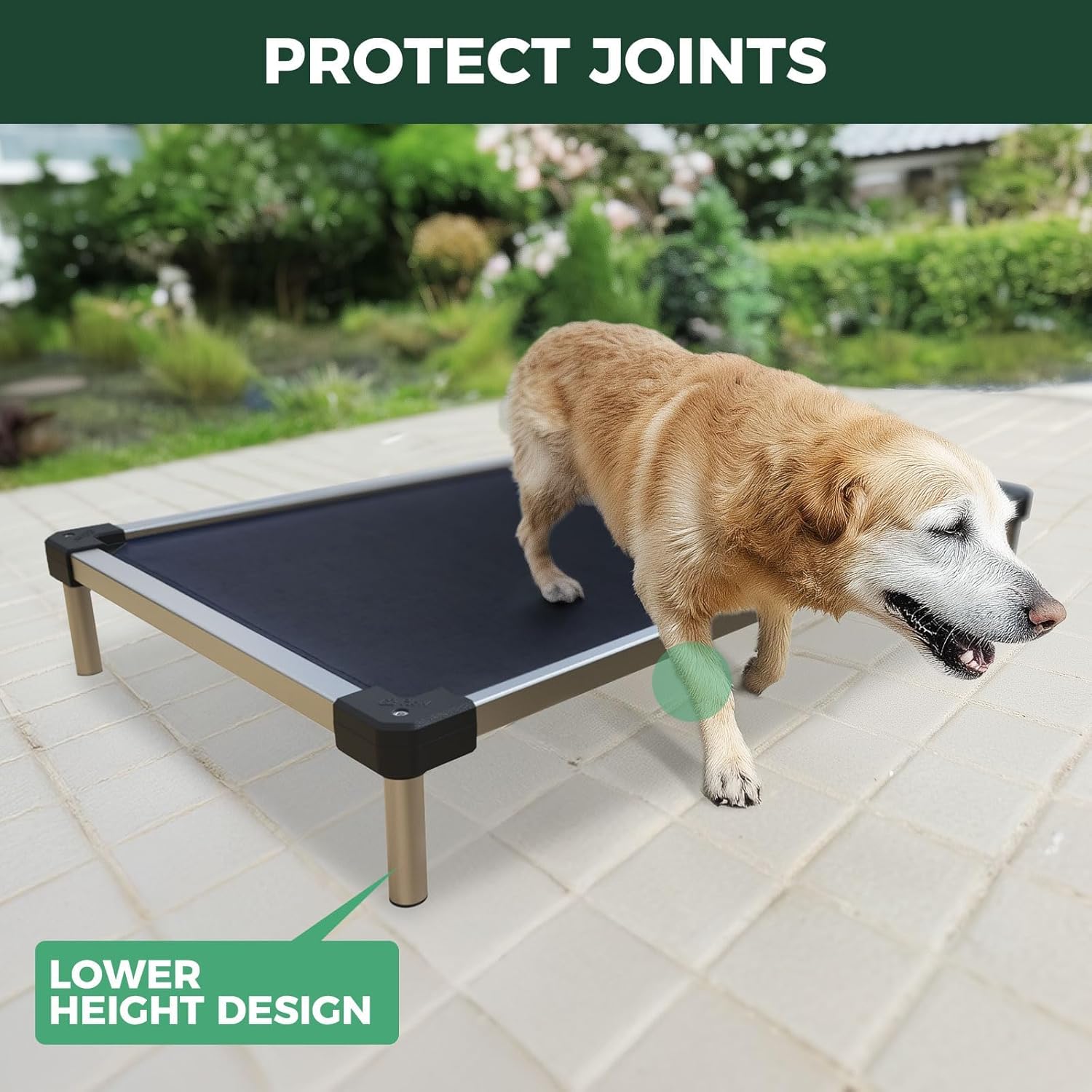 FXW TitanNest Cooling Chew-Proof Elevated Dog Bed for Medium Dogs | Easy to Clean, Pre-assembly Raised Cot, Indoor/Outdoor/Camping, 41 x 27 x 5in - Image 5