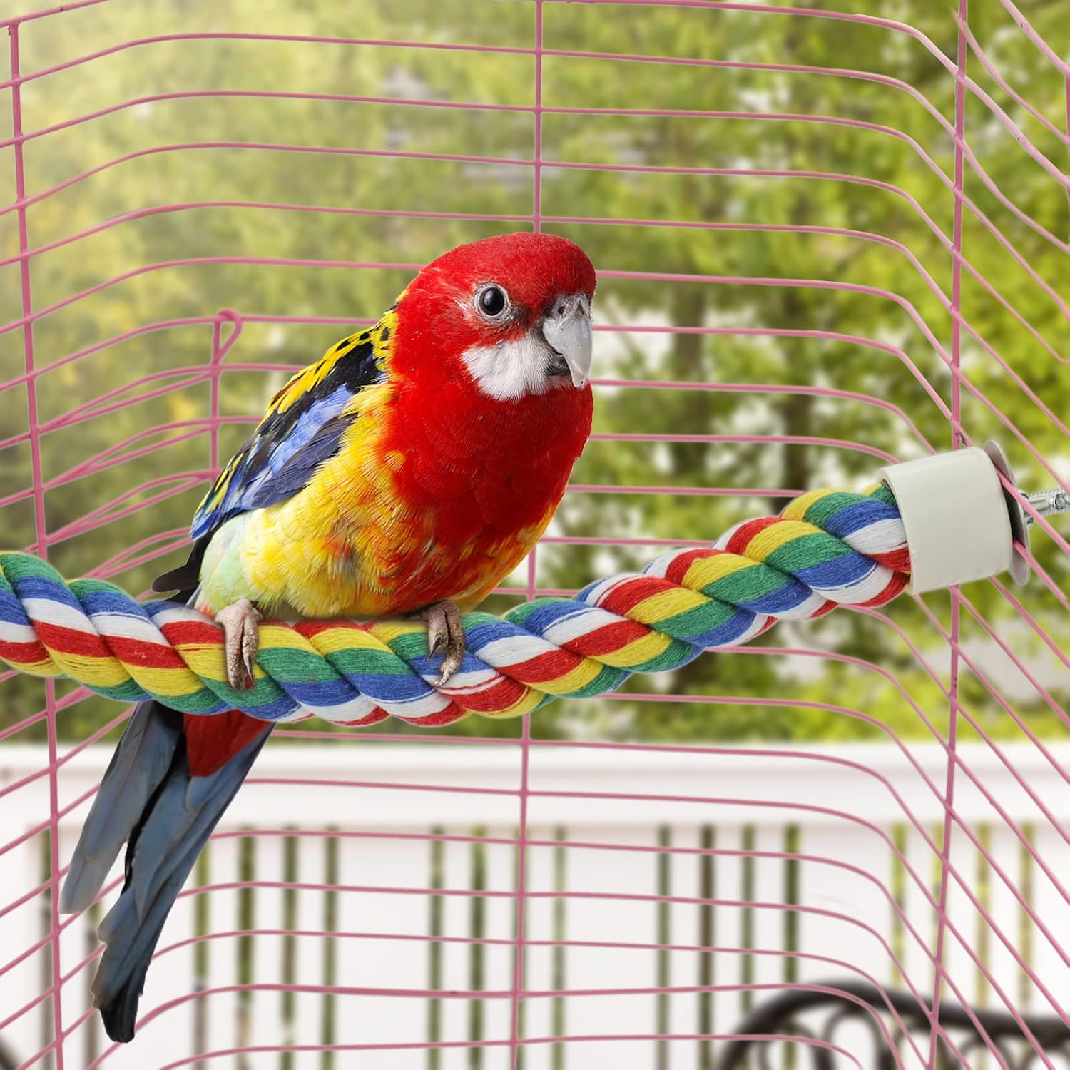 Bird Rope Perches for Parrots, Cockatiels, Parakeets, Budgie Cages Comfy Birds Colorful Rope Toy (41inch Metal nut) - Image 4