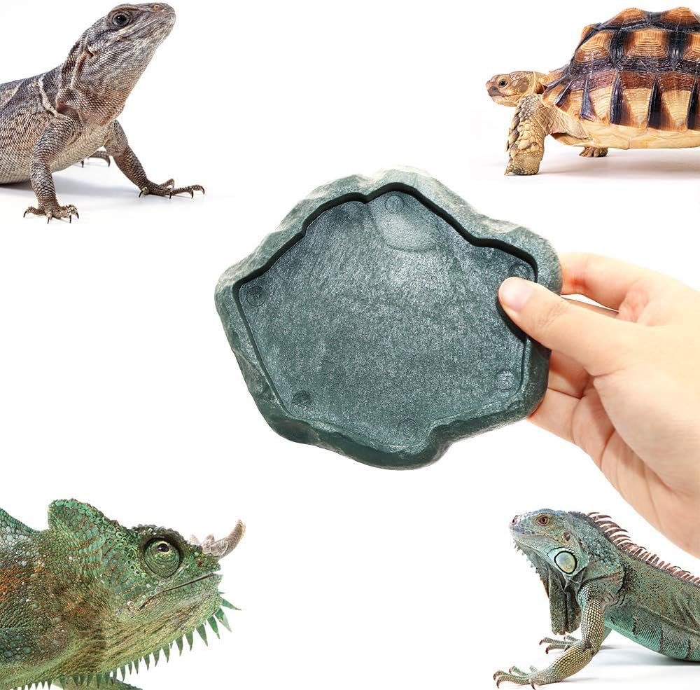SLSON Small Reptile Feeder Terraium Bowl Plastic Shallow Reptile Feeder for Food and Water Feeding Dish for Lizard Gecko Junior Bearded Dragon,Small Green - Image 6