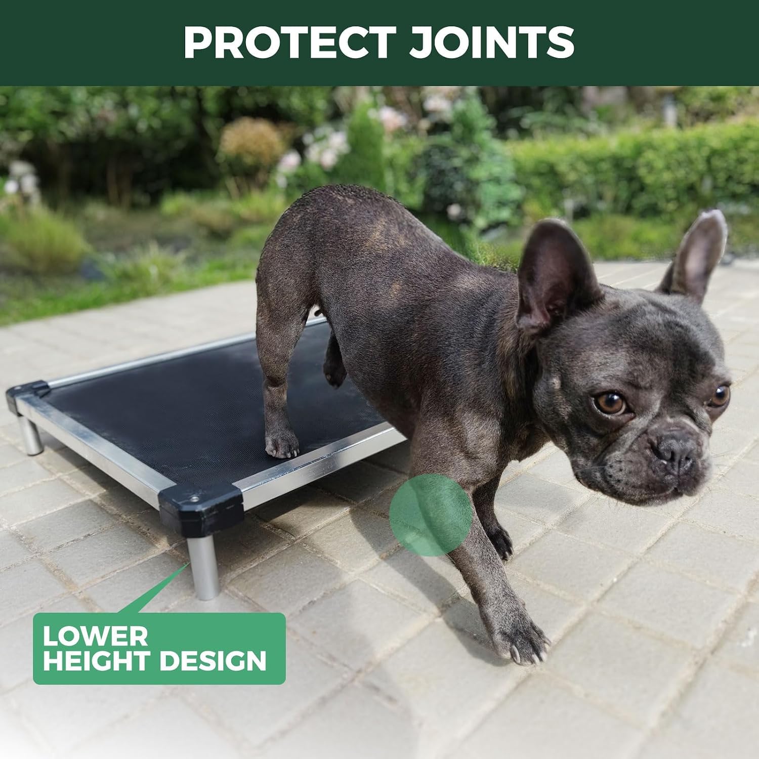 FXW TitanNest Chew-Proof Elevated Dog Bed, Raised Cot for Indoor/Outdoor/Camping Use, Durable & Waterproof Cooling Pet Bed for Extra-Small Dogs, 29.0" L x 18.0" W x 4.5" H, Black - Image 5