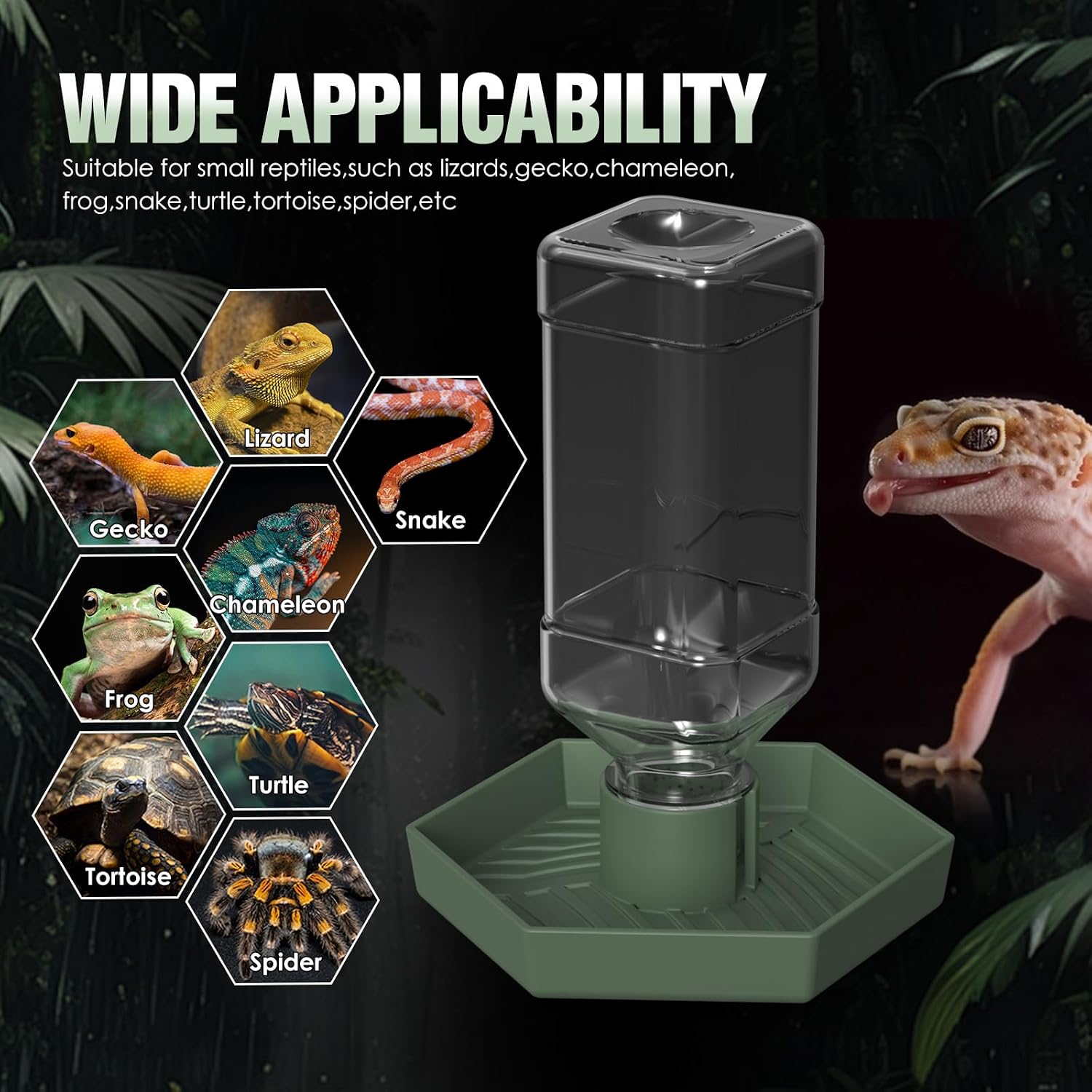 Reptile Water Dispenser-Bearded Dragon Water Bowl - Small Water Dish for Tortoise - Bowls for Reptiles & Amphibians (S) - Image 5