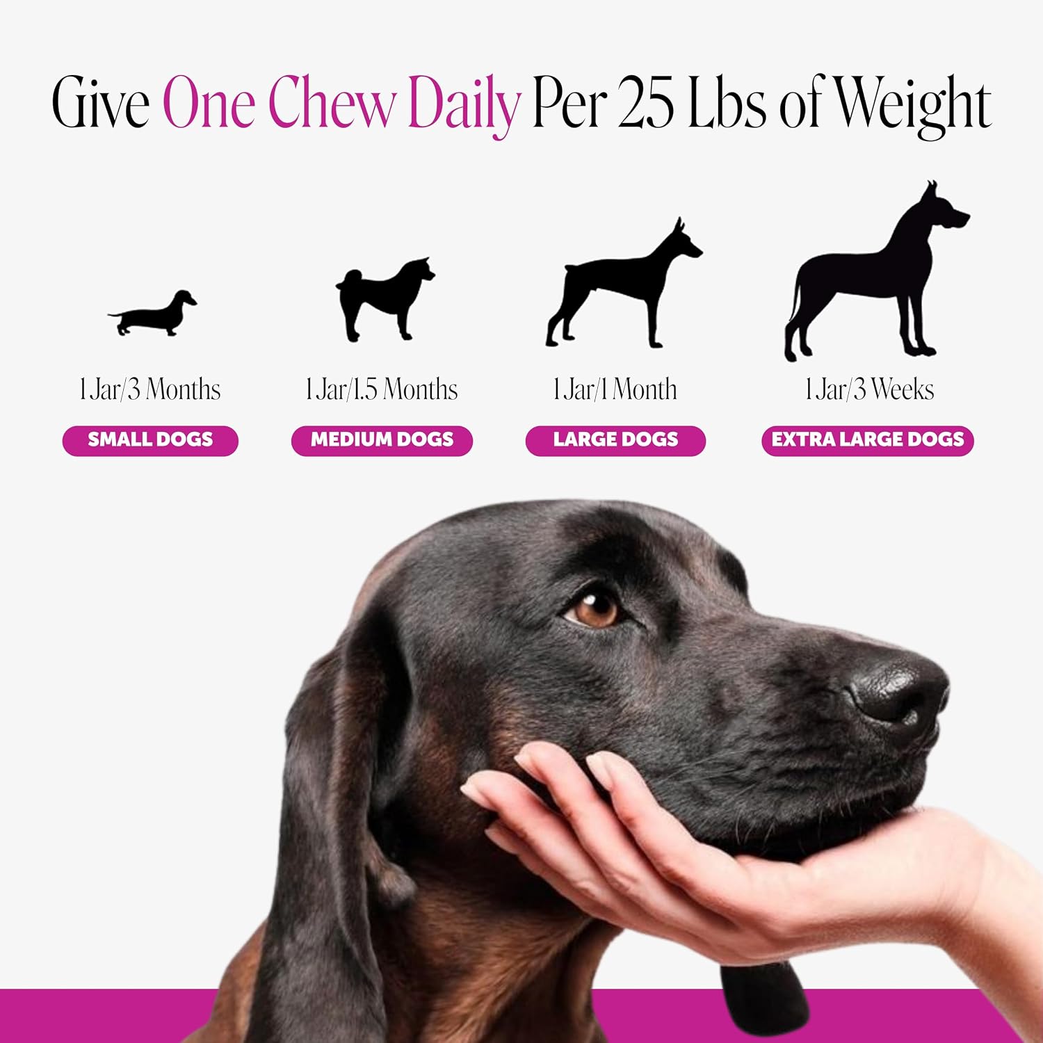 10-in-1 Dog Multivitamin Supplement with Glucosamine & Probiotics - Hip & Joint Support, Digestive Health, Immune Support, Heart & Skin - All-in-One Daily Vitamins & Omega-3s (Peanut Butter, 90 ct) - Image 6
