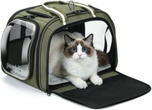 Pecute Cat Carrier with Bubble Wind...