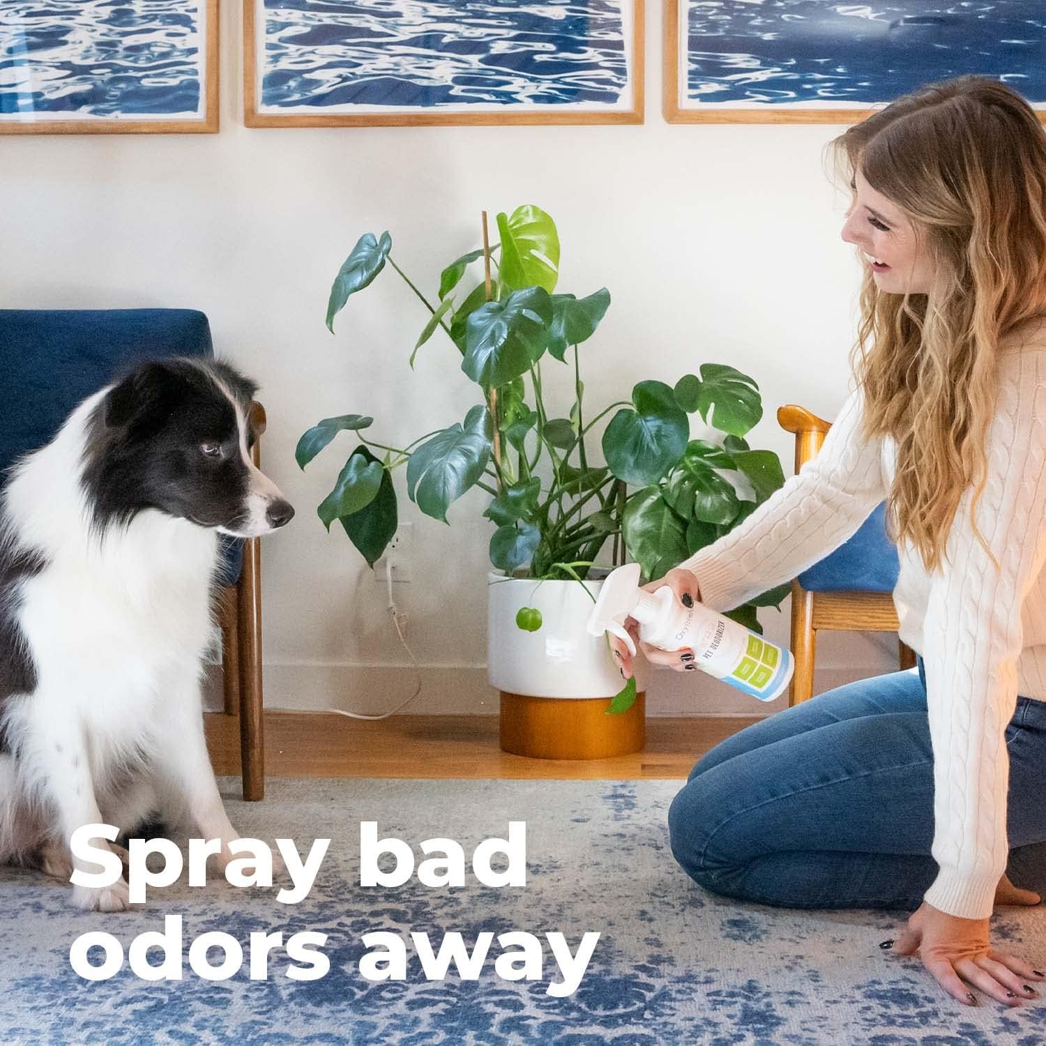Oxyfresh Extra Strength Dog and Cat Odor Eliminator for Home Spray - Finally Say Goodbye to Stinky Odors - Gently Neutralizes at the Source - Works on Contact - Upholstery & Auto - Safe - Image 7