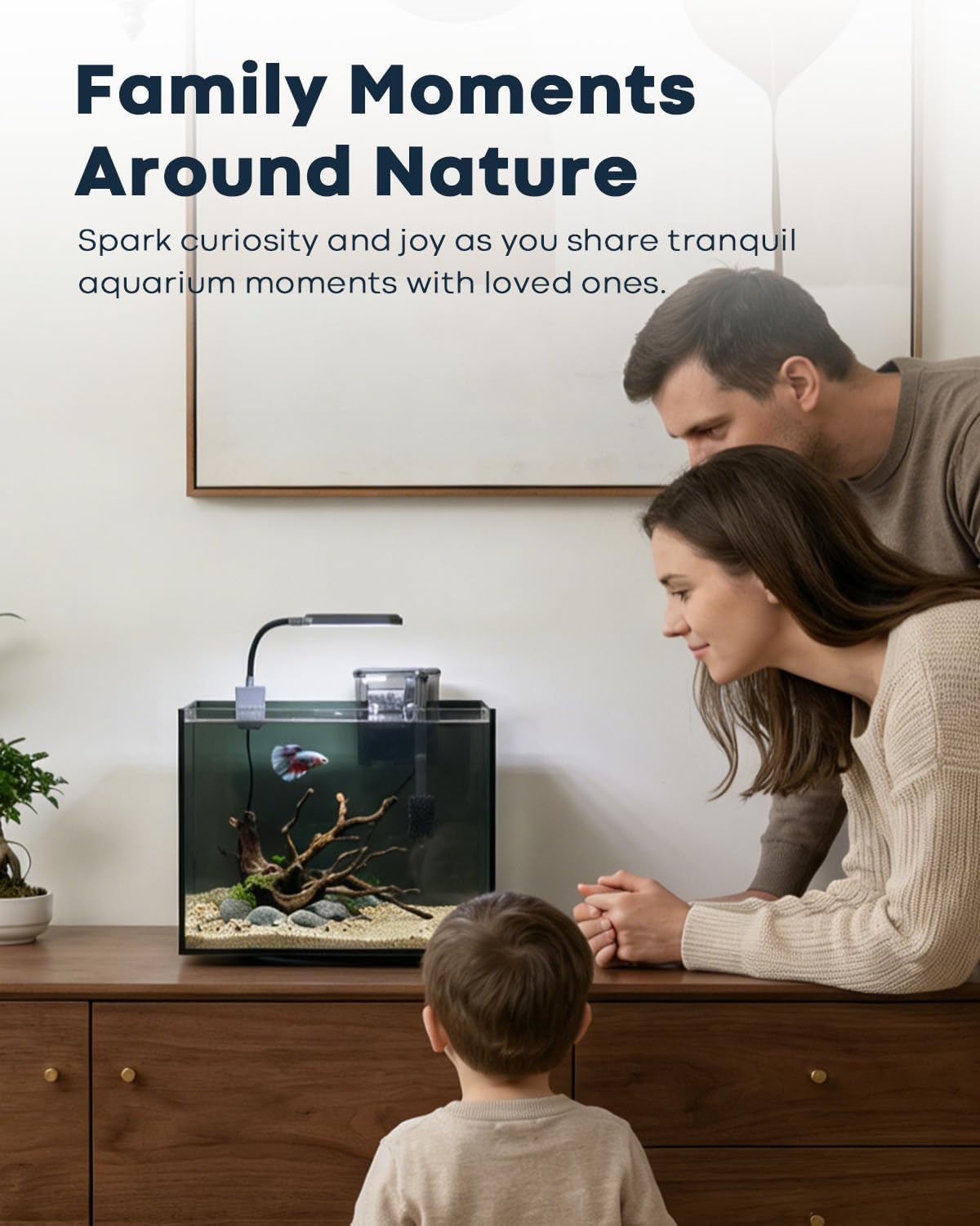 3 Gallon Aquarium Set Small Fish Tank Glass, Starter Kit with Heater Water Pump Cleaning Filter Bright Light Rocks Gravel Cleaning Tool, Leak-Proof Clear Rimless Desktop Spaces Saving Betta Fish - Image 4