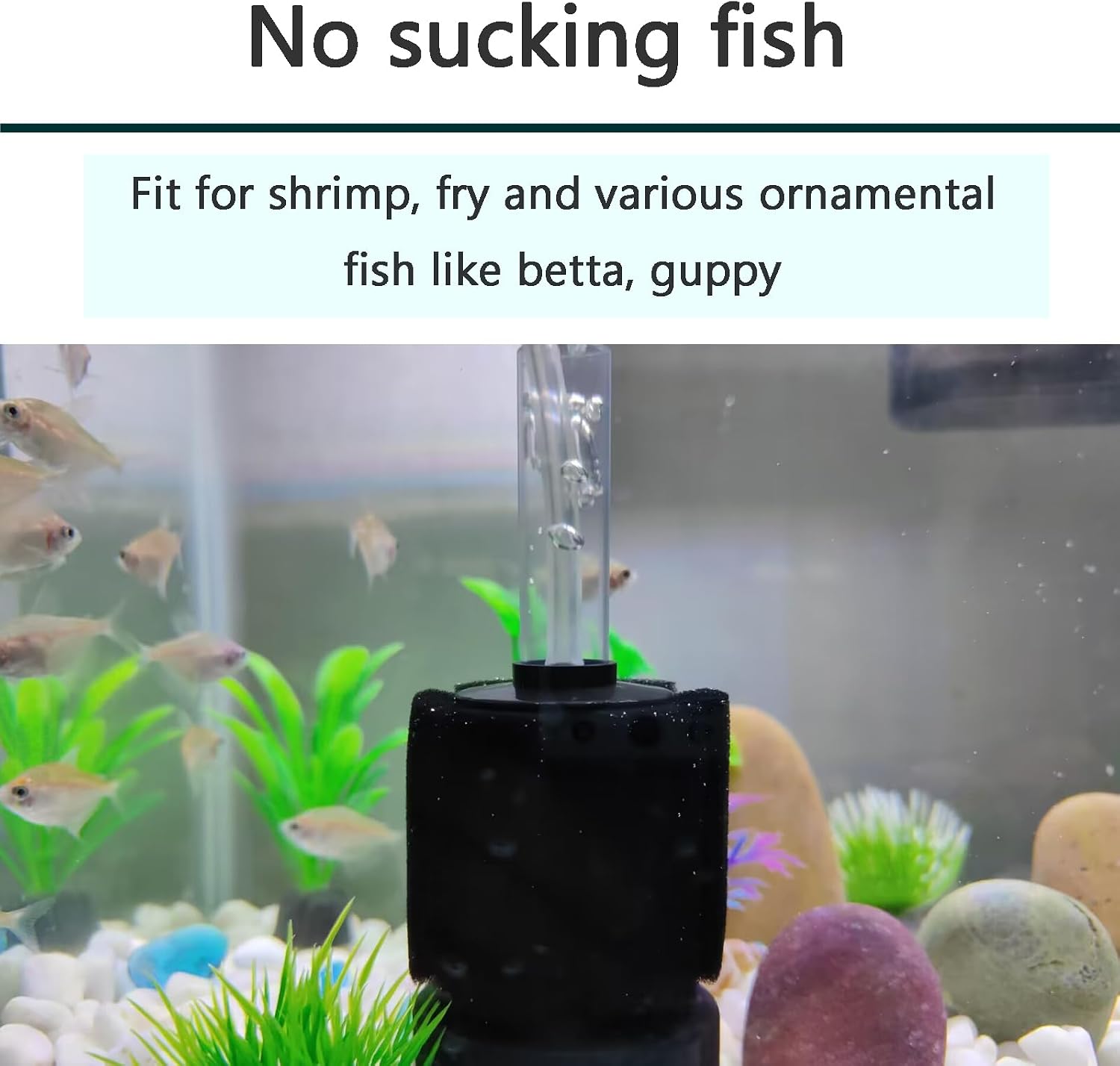 AQUANEAT 3 Pack Aquarium Bio Sponge Filter Breeding Fry Betta Shrimp Nano Fish Tank (Small up to 10Gal) - Image 6