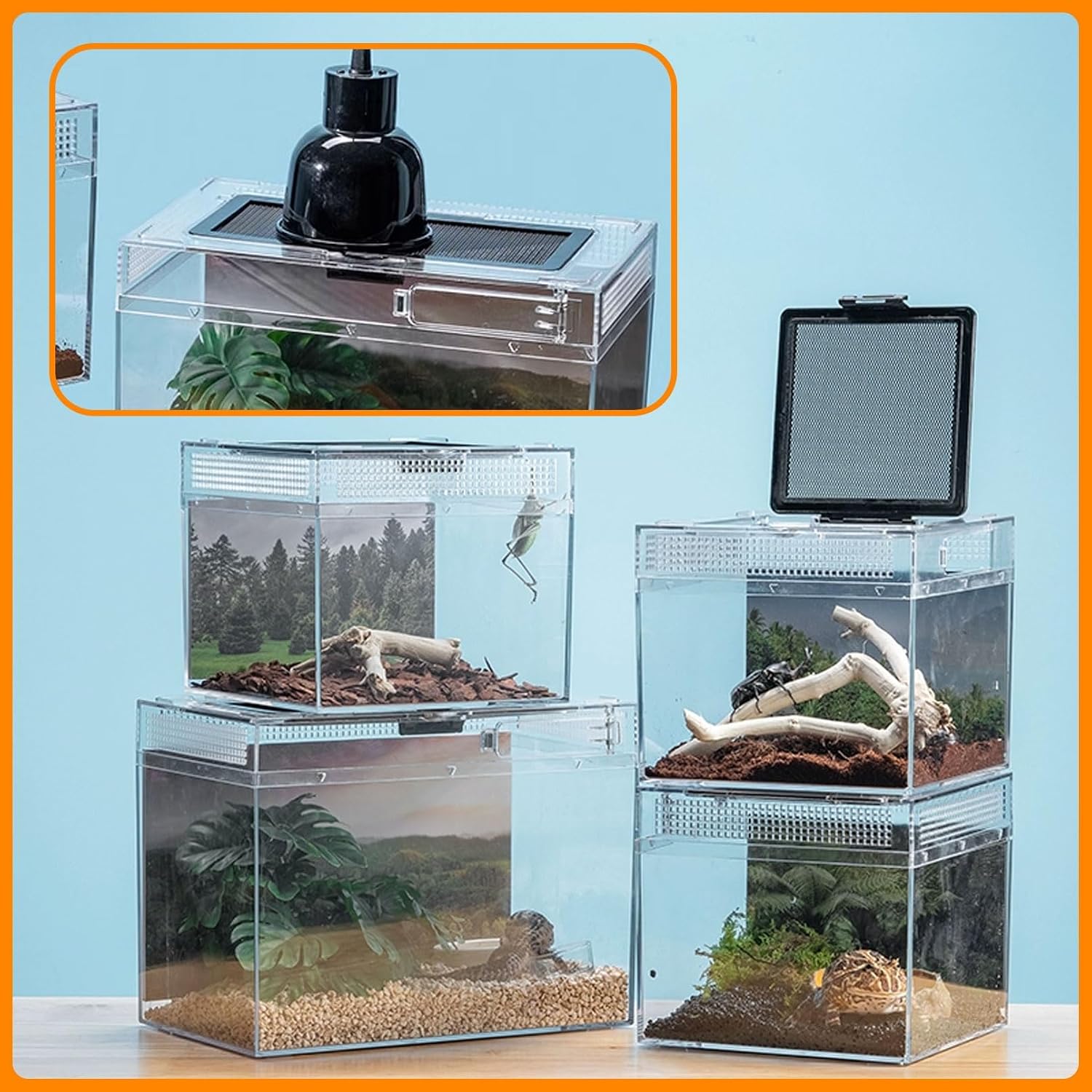Reptile Terrarium, Jumping Spider Enclosure Starter Kit, Leopard Gecko Habitat Container, 8"x8"x6"Reptile Tank for Tarantula, Hermit Crab, Insect, Fish, Frog, Small Bearded Dragon, Lizard - Image 8