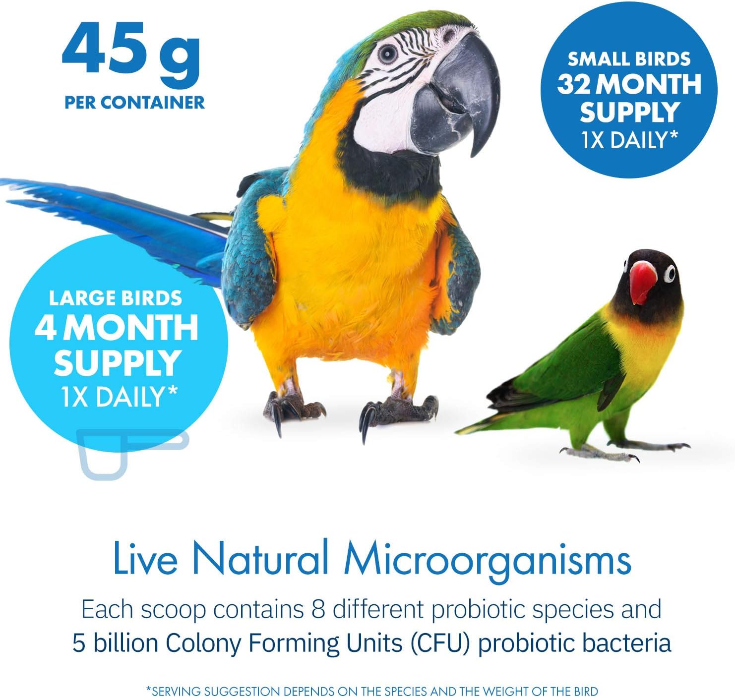 HealthyGut™ Avian Probiotics Dietary Supplement for Parrots, All-Natural Digestive System Formula (120 Servings) - Image 4