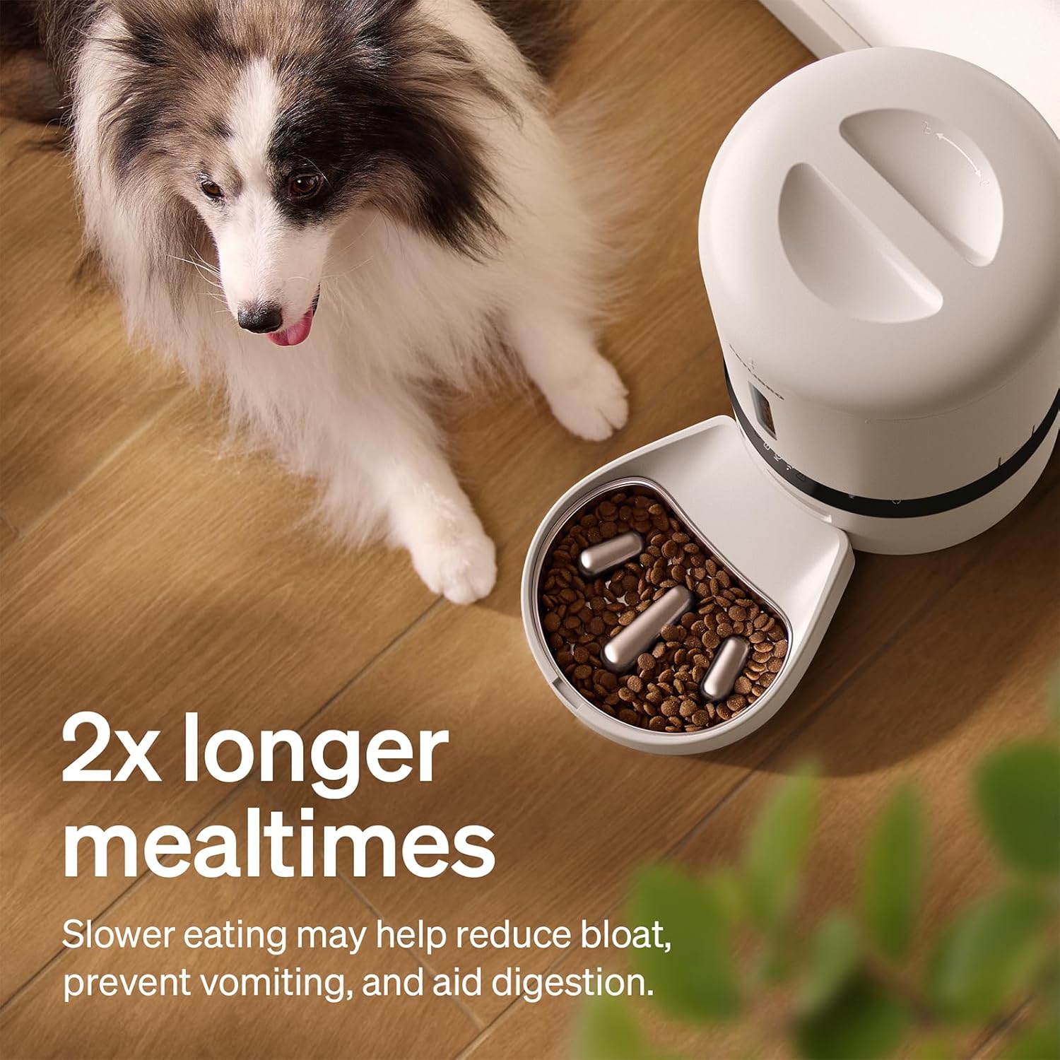 PETLIBRO Automatic Cat Feeder with Camera, Auto Pet Food Dispenser Slow Feeder Dog Bowl, 1080P HD Video with Night Vision, 5G WiFi with 2-Way Audio, Stainless Steel Slow Food Tray for Small Dogs - Image 2
