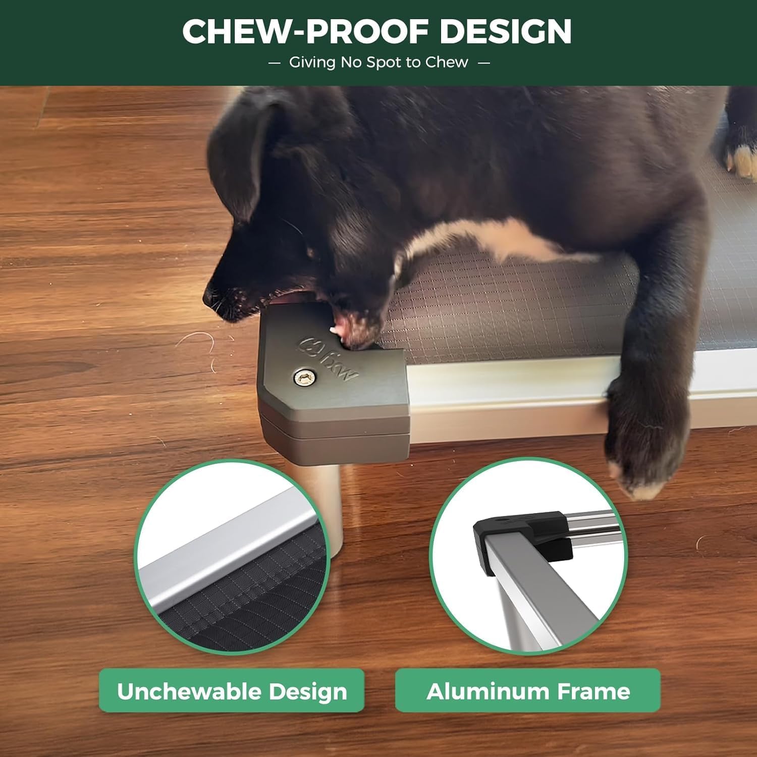 FXW TitanNest Padded Chew-Proof Elevated Dog Bed for Small Dogs | Easy to Clean, Pre-assembly Raised Cot, Indoor/Outdoor/Camping, 35 x 22 x 4.5in - Image 2