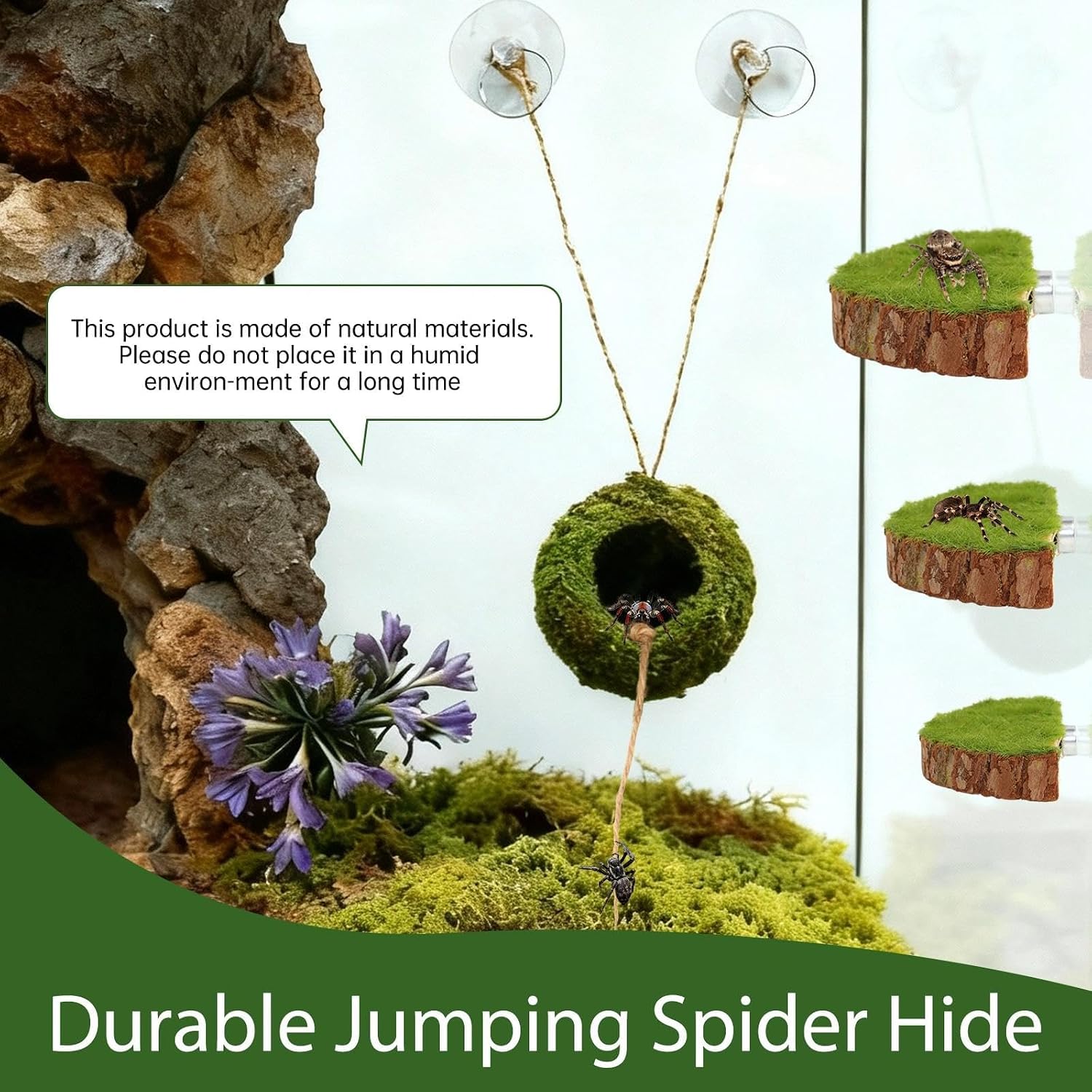 Jumping Spider Habitat Kit, Green Moss Hideout Cave and 3 Pcs Resting Feeding Platforms, Suction Cup Magnet Terrarium Decor for Jumping Spider Small Reptiles - Image 4