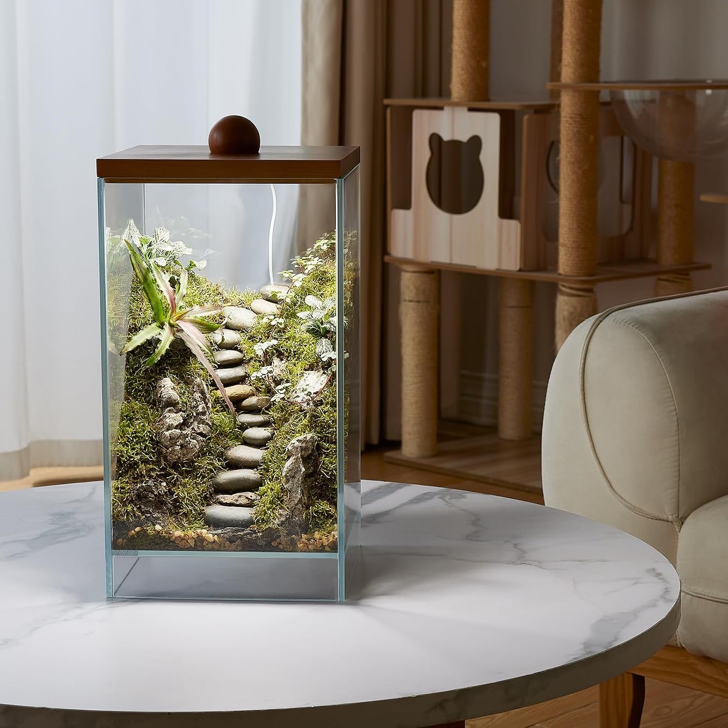 Large Glass Plant Terrarium: 13.7H+7.8W Terrarium with Light | Desktop Propagation Station for Succulent/Moss/Miniature Gardening Landscape/Betta Fish Tank - Image 6