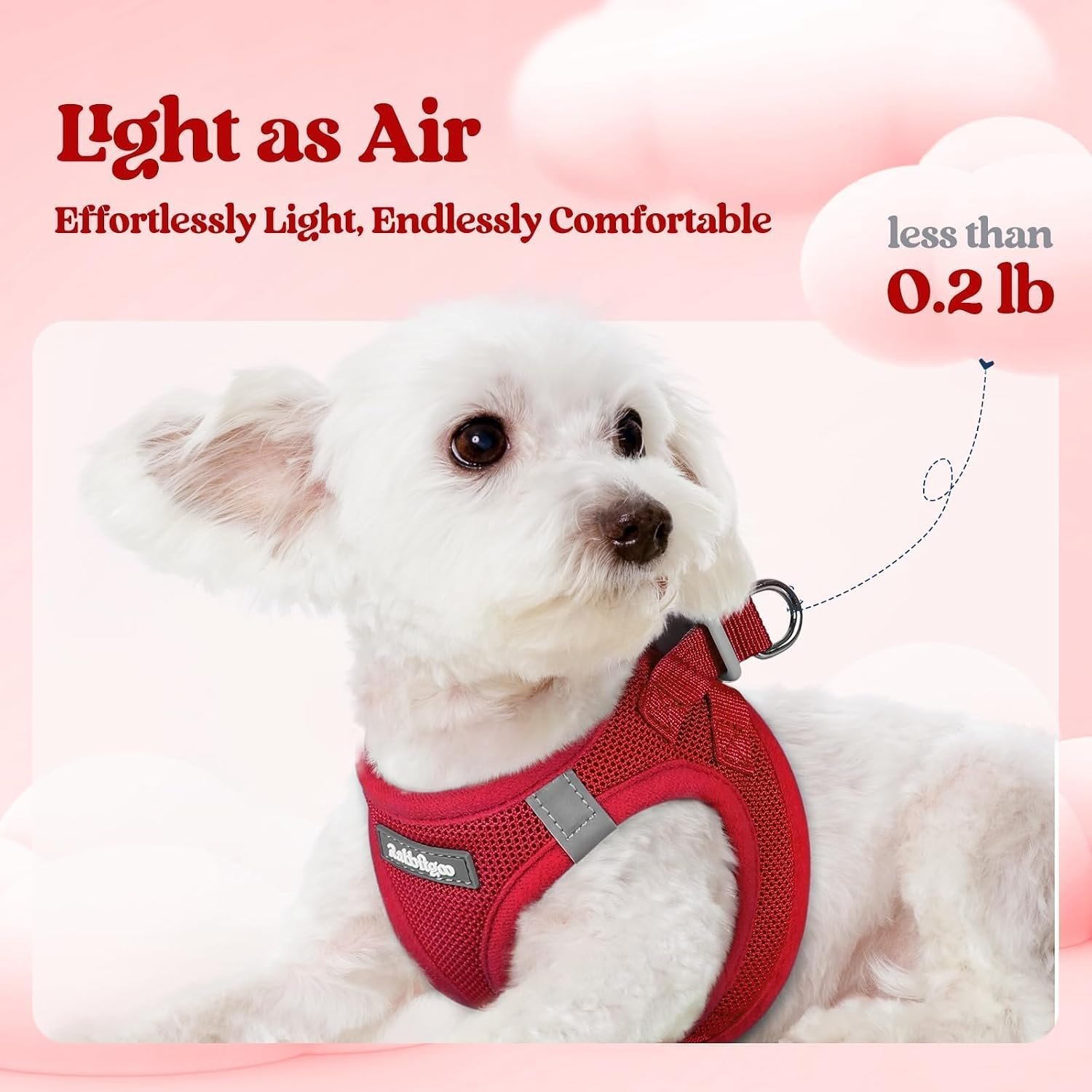 rabbitgoo Dog Harness Small Sized and Leash Set, Step-in Puppy Pet Vest | Light, Soft, Breathable Air Mesh, Easy on and Remove with Hook & Loop, Secure Reflective for Walking, Red S - Image 3