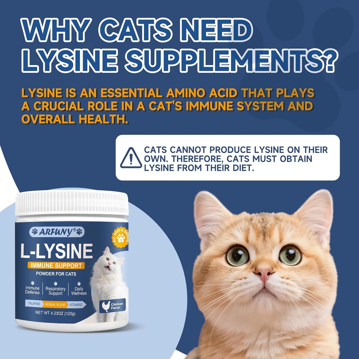 L-Lysine for Cats, Support Immune System, Respiratory, Eye Health | Ease Sneezing, Runny Nose, Watery Eyes Support, with Taurine, Herbal Blend, Vitamins, for All Cats, Chicken Flavor, 120g - Image 3